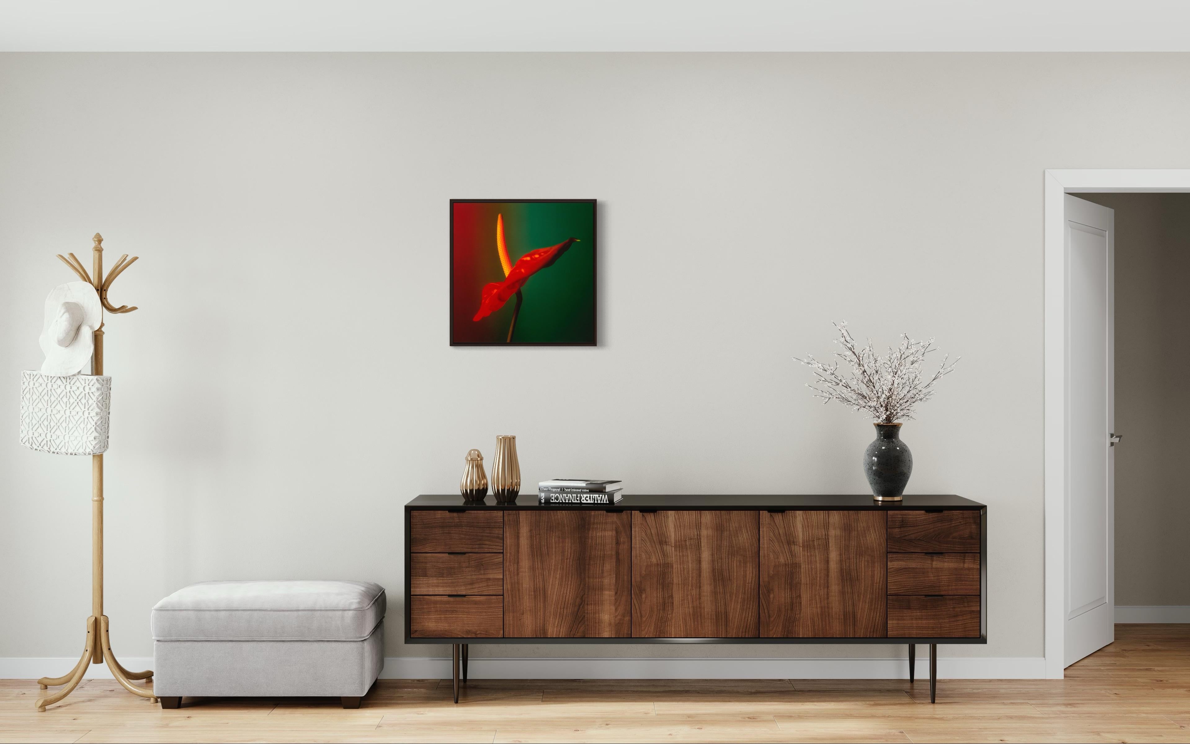 Colour Photograph of Anthurium flower in Red Green and Yellow, Custom framed For Sale 7