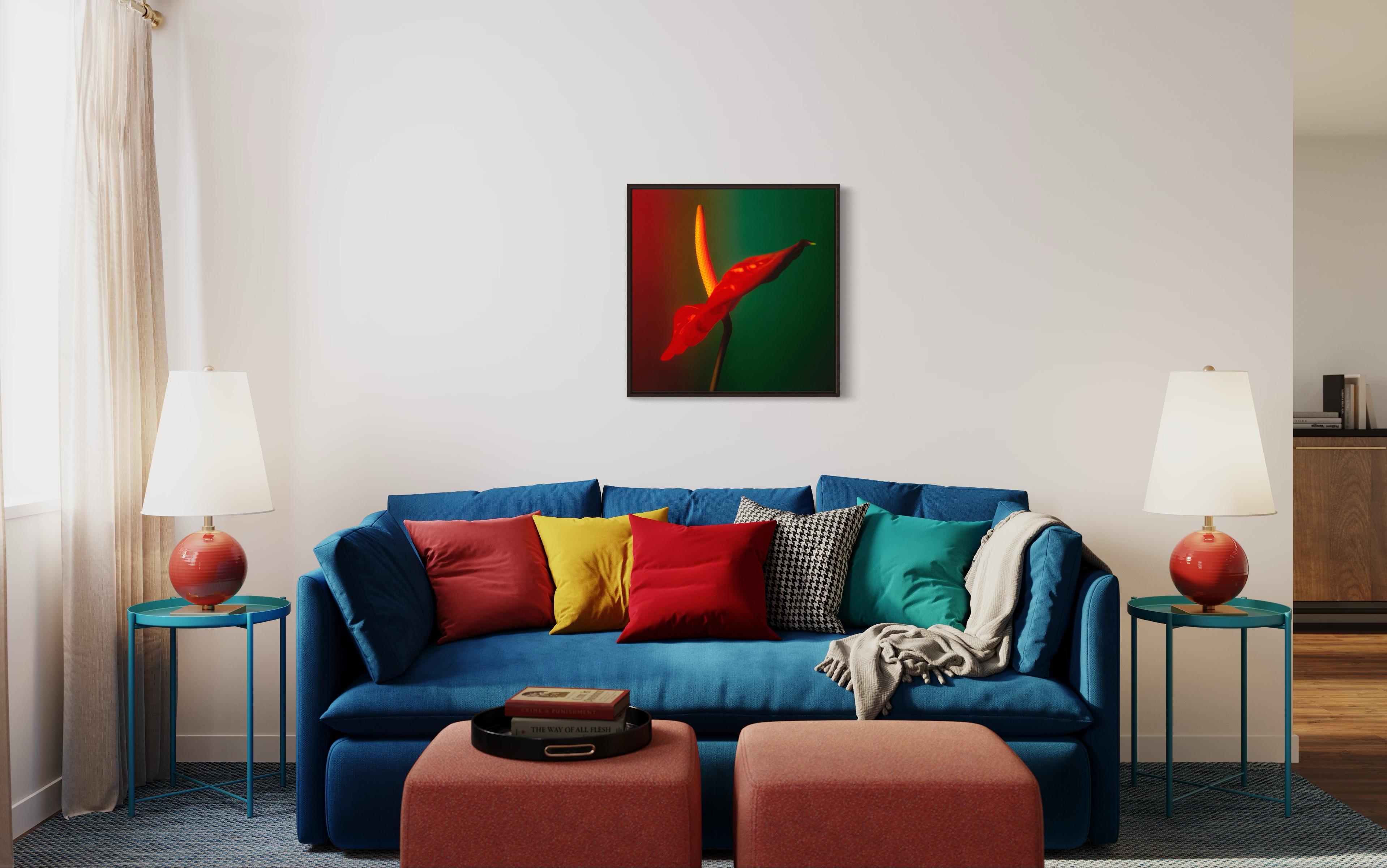 Colour Photograph of Anthurium flower in Red Green and Yellow, Custom framed For Sale 12