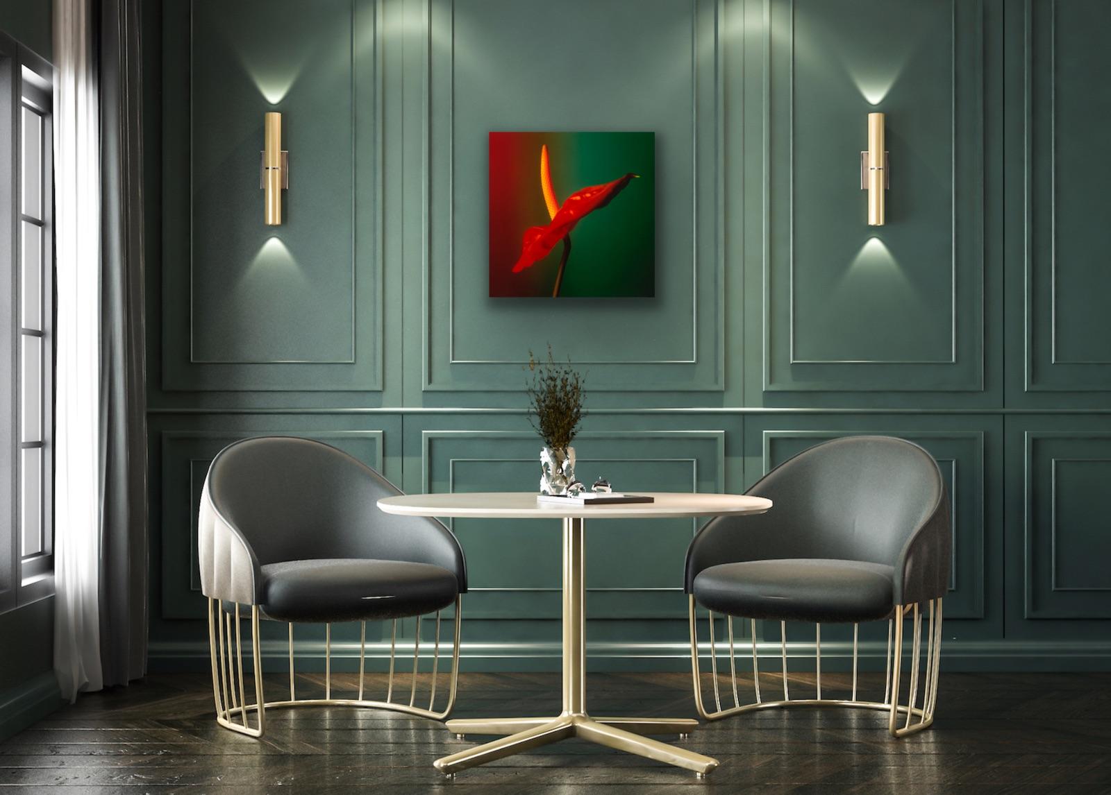 Colour Photograph of Anthurium flower in Red Green and Yellow, Custom framed - Contemporary Print by Christopher M Shackleton