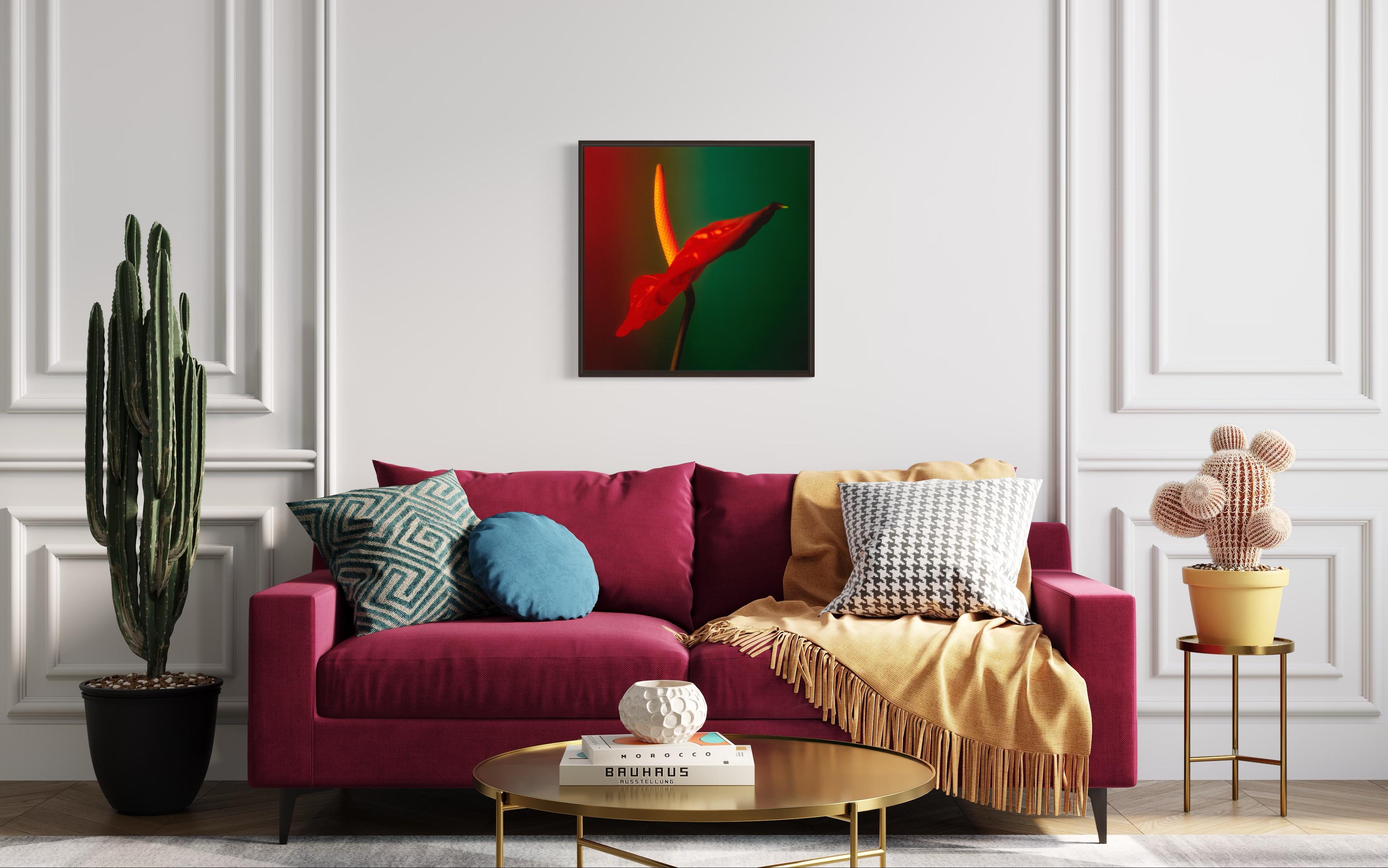 Colour Photograph of Anthurium flower in Red Green and Yellow, Custom framed - Black Still-Life Print by Christopher M Shackleton