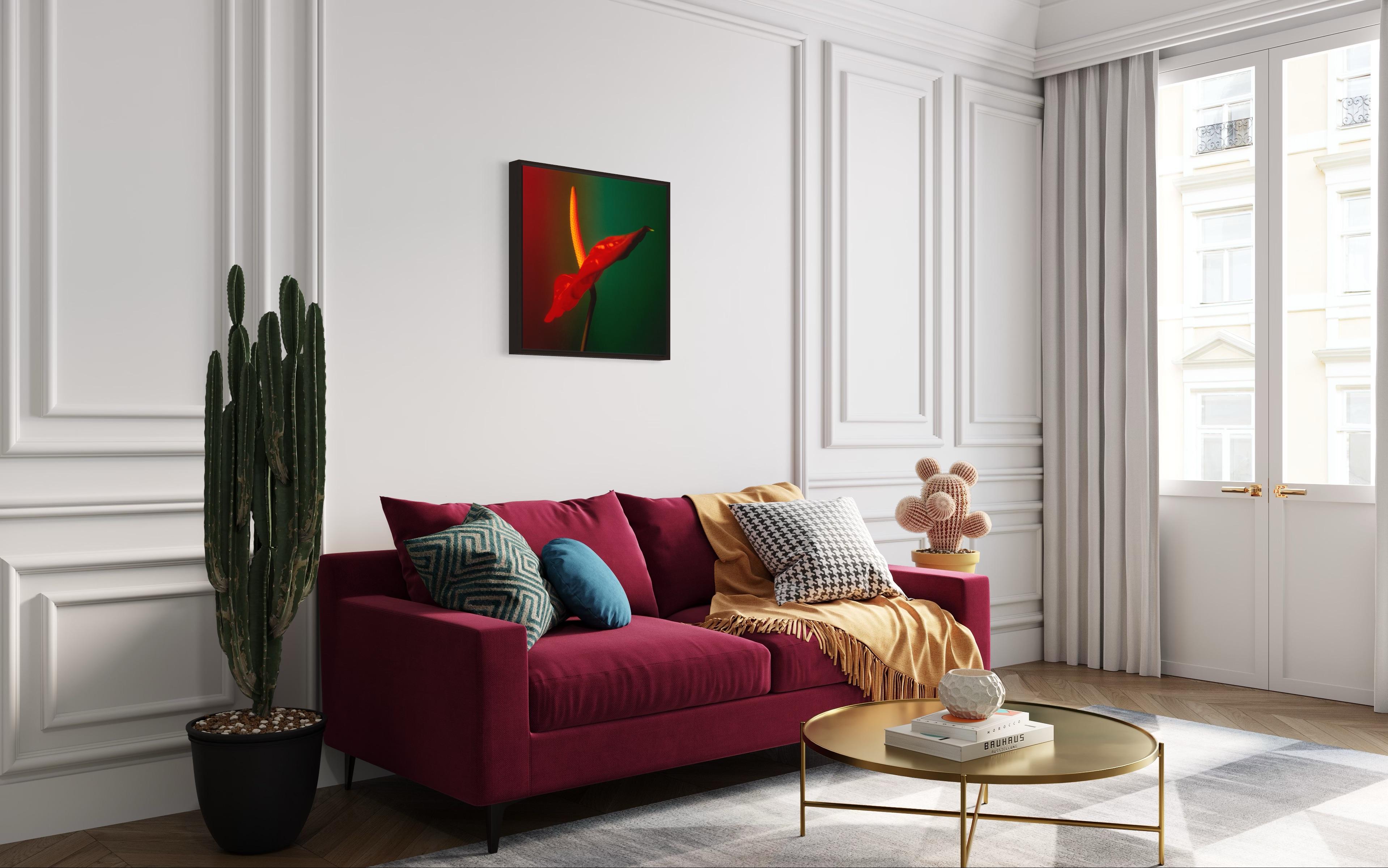 “Nature creates nothing without the purpose” - Aristotele
#flower; still life, flora, conceptual, transparency, prime colours, anthurium, red, yellow, green, warm colours, golden, sensual

Anthurium - flower study, originally taken on medium format