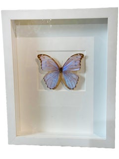 Serie Christopher Marley