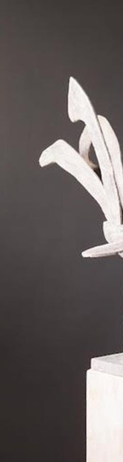 Christopher Marvell, Cockerel