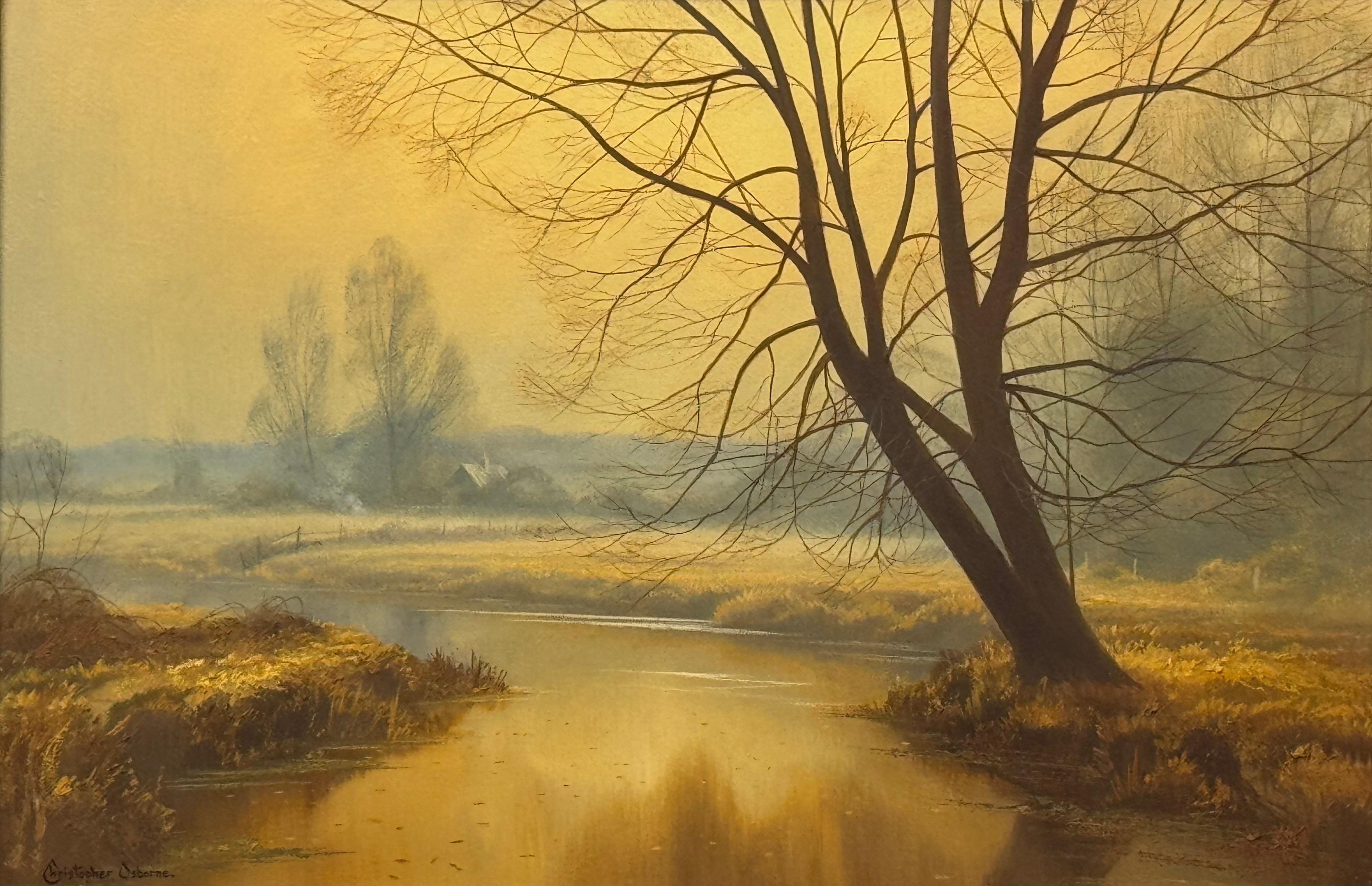 Paisaje brumoso de un río amarillo dorado con árboles invernales en la campiña inglesa en venta 9