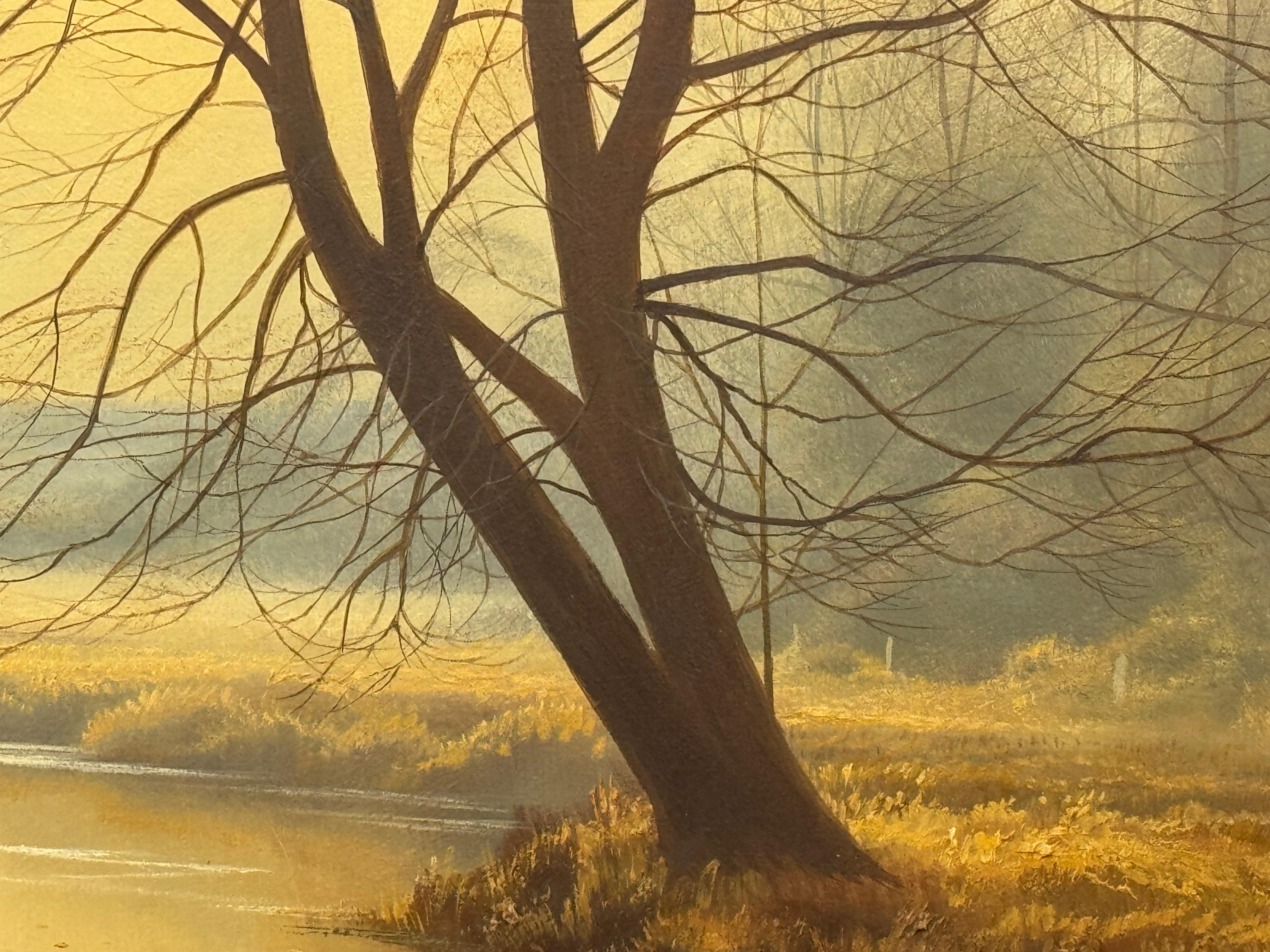 Paisaje brumoso de un río amarillo dorado con árboles invernales en la campiña inglesa en venta 5