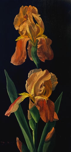 Christopher Pierce, "Butterscotch Iris", 12x8 Floral Oil Painting on Canvas 