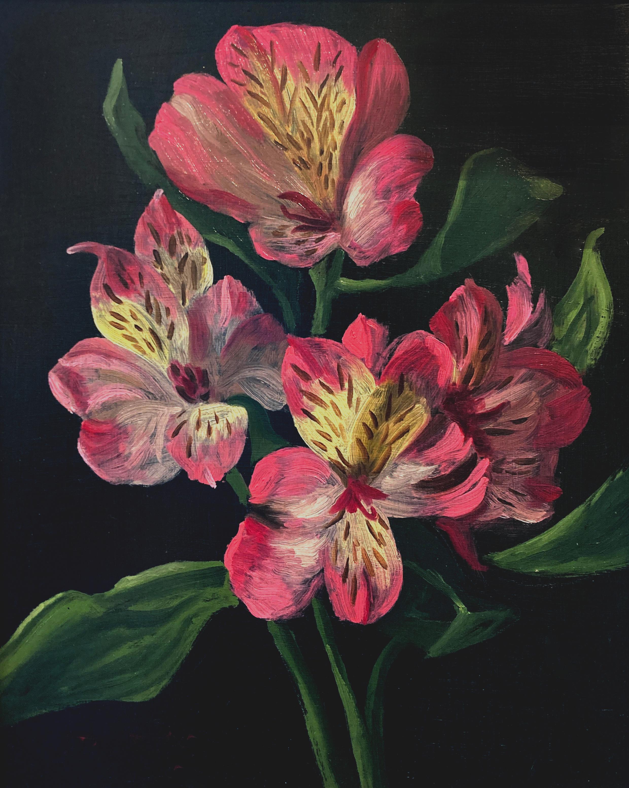 Christopher Pierce, "Pink and White Alstroemeria", 10x8 Floral Oil Painting 
