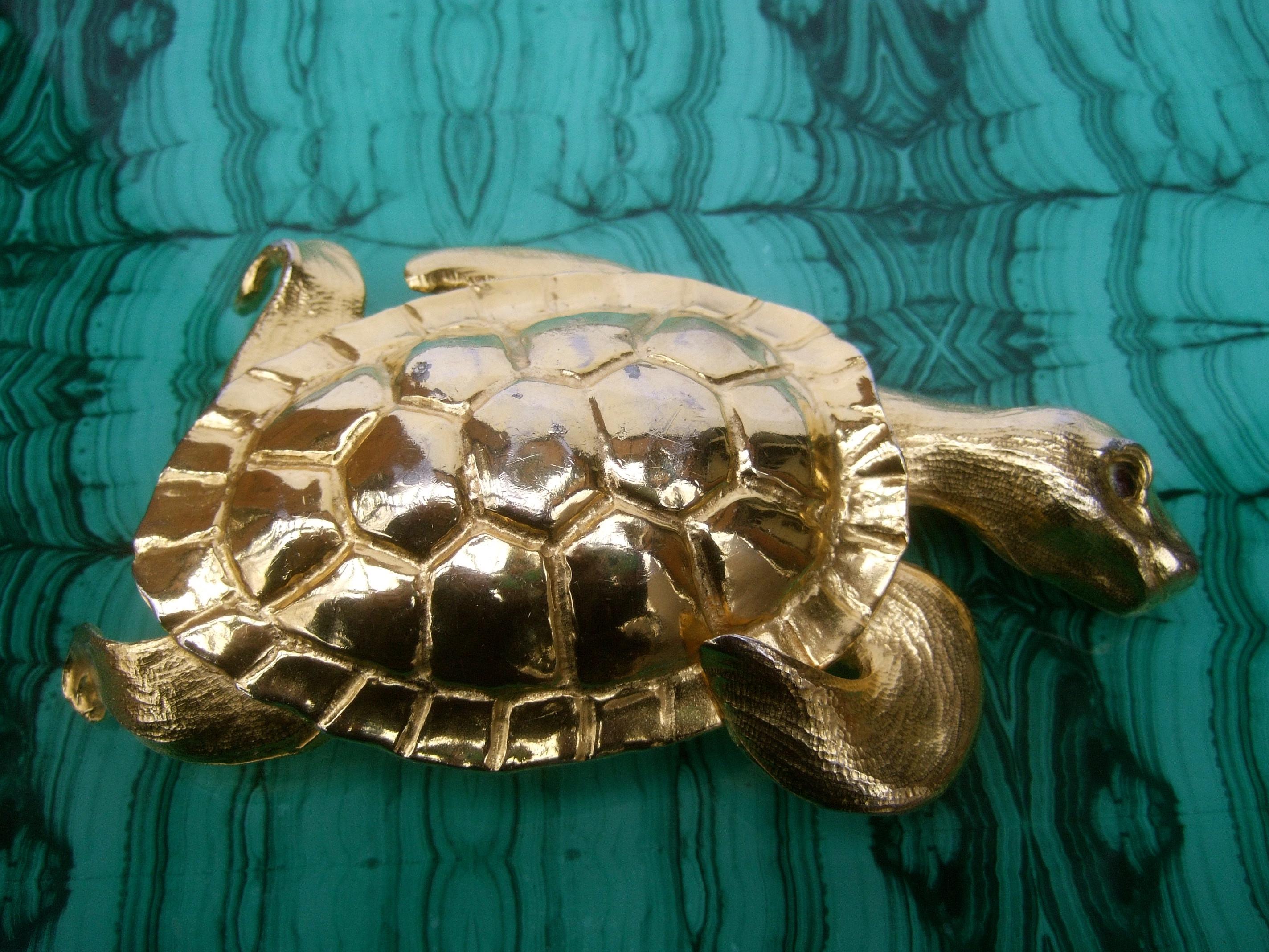 sea turtle belt