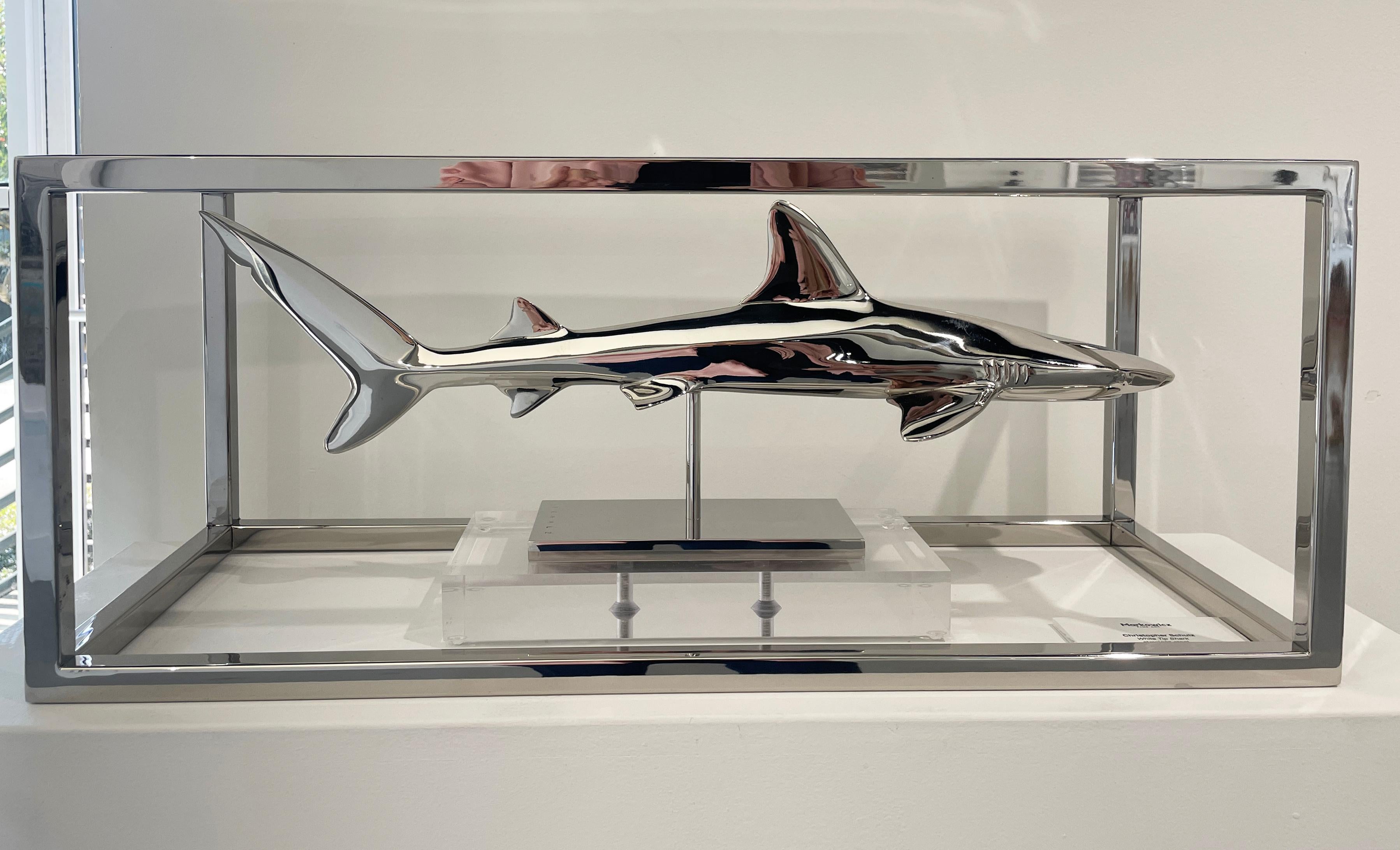 Black Tip Shark - Sculpture by Christopher Schulz