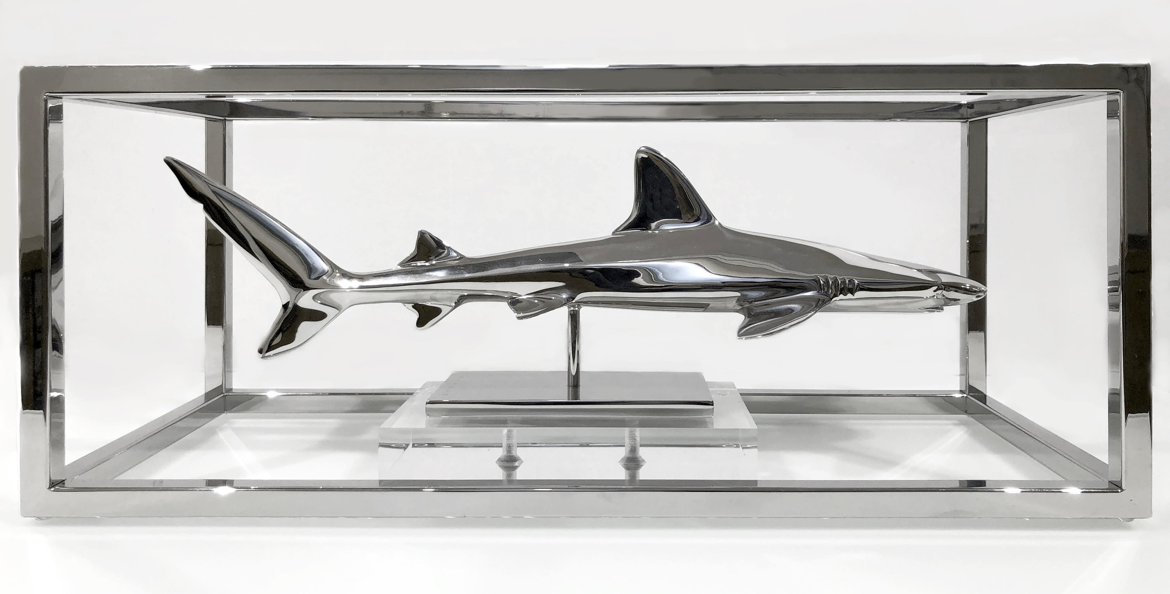 Christopher Schulz Figurative Sculpture - Black Tip Shark