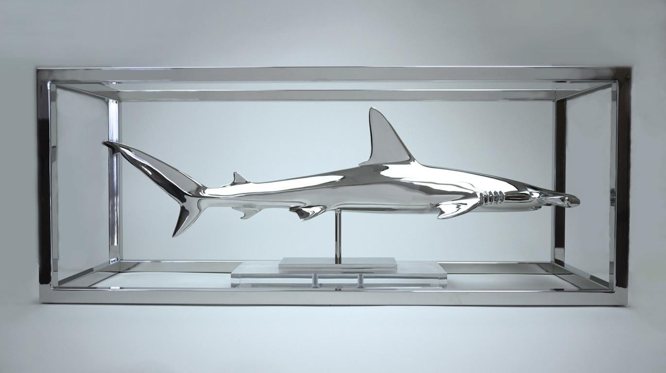 Christopher Schulz Figurative Sculpture – Großer Hammerhai