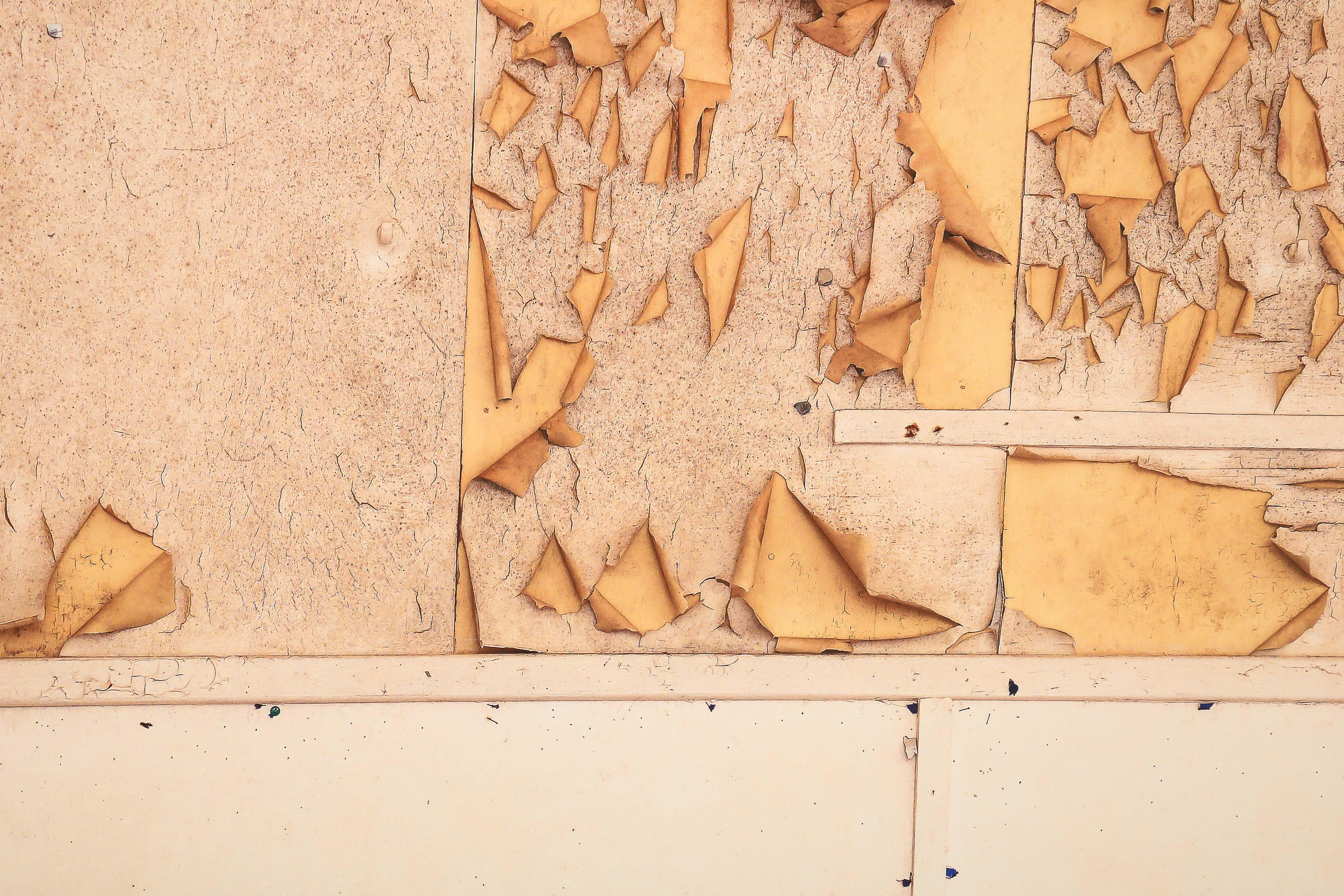 Papier Christopher Sharples - Tableau d'affichage en vente