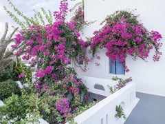 Christos J. Palios - Reminiscence of Summers' Past, Photography 2023