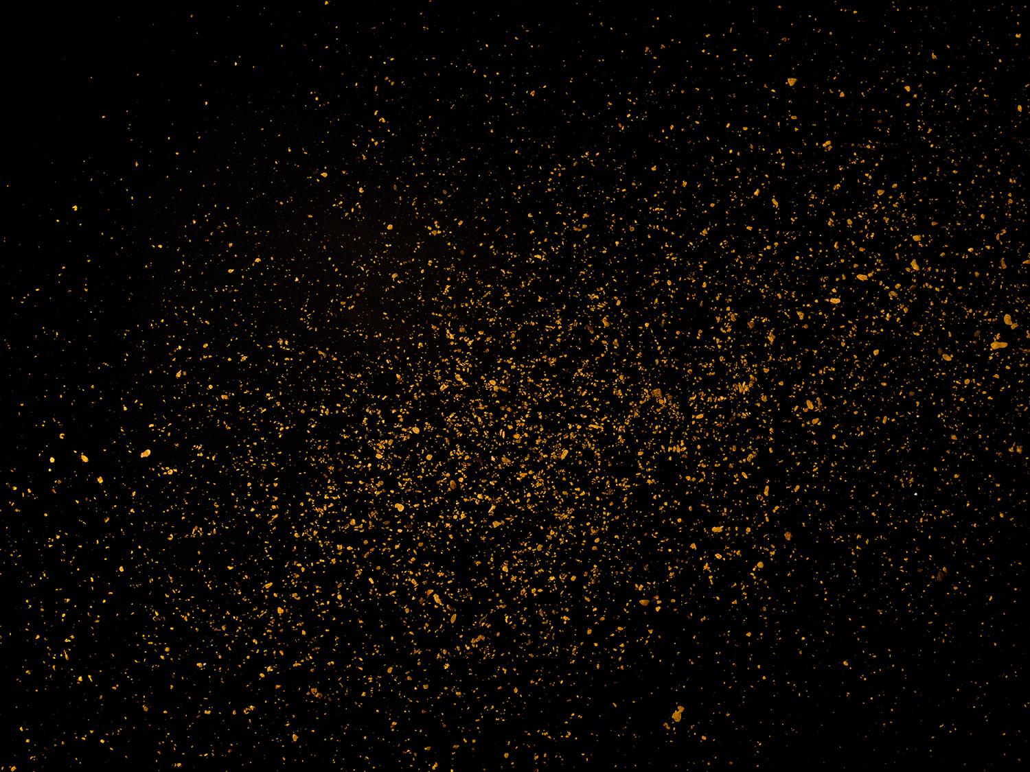 Gold Dust, Study II (40" x 53")
