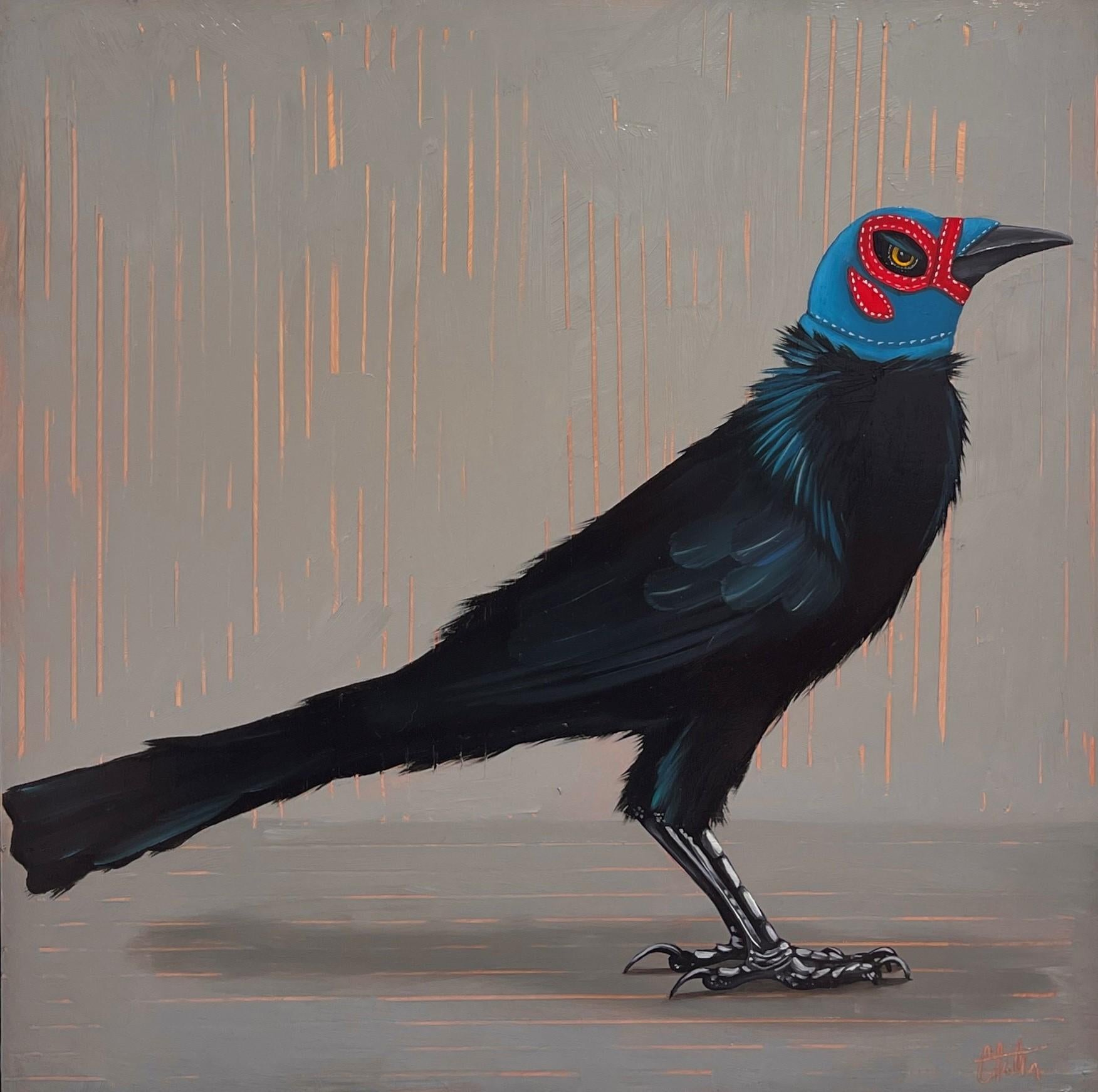 "Luchador Enmascarado" Grackle Bird Oil Painting by Christy Stallop