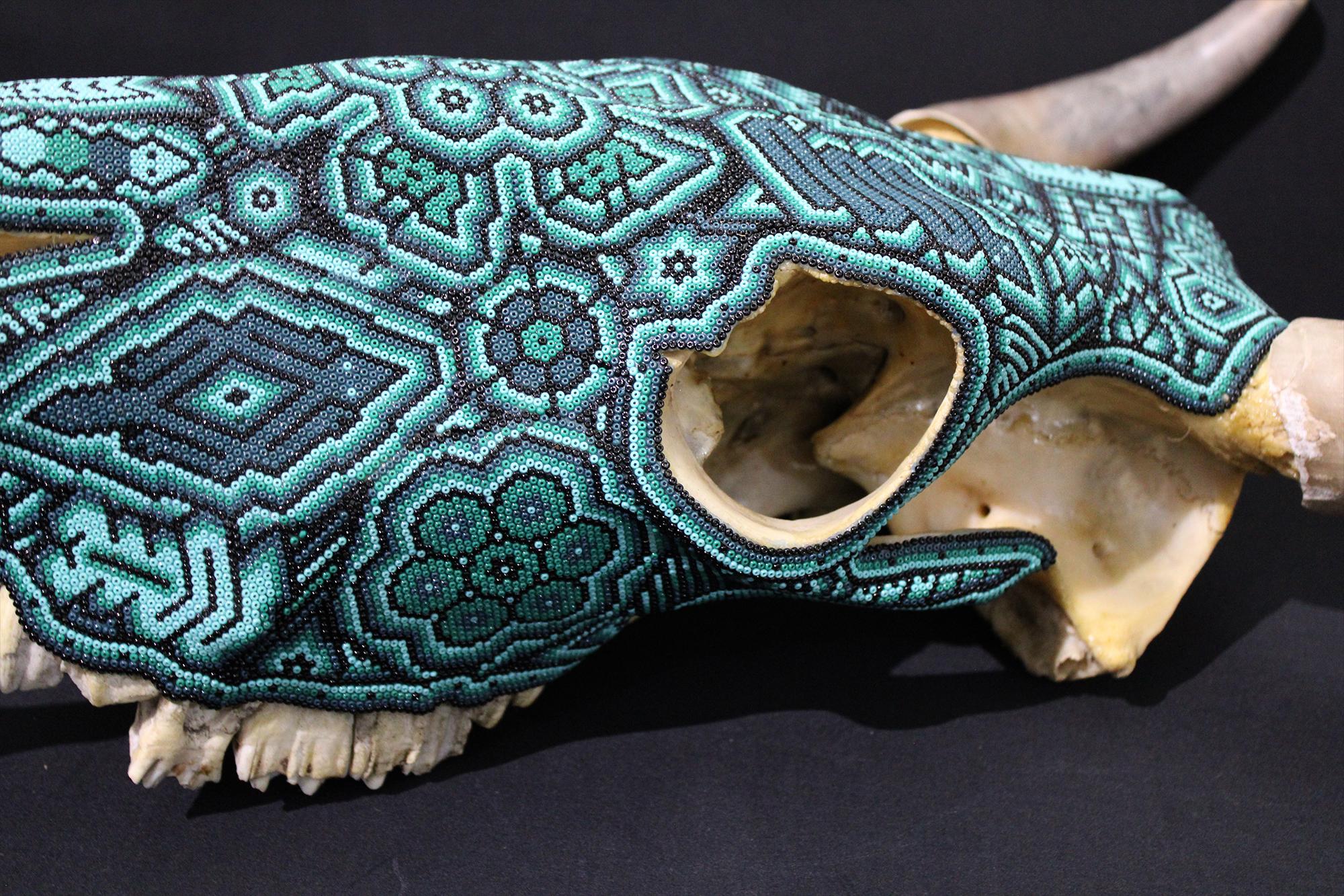 CRÁNEO DE TORO HUICHOL. . . . en venta 3