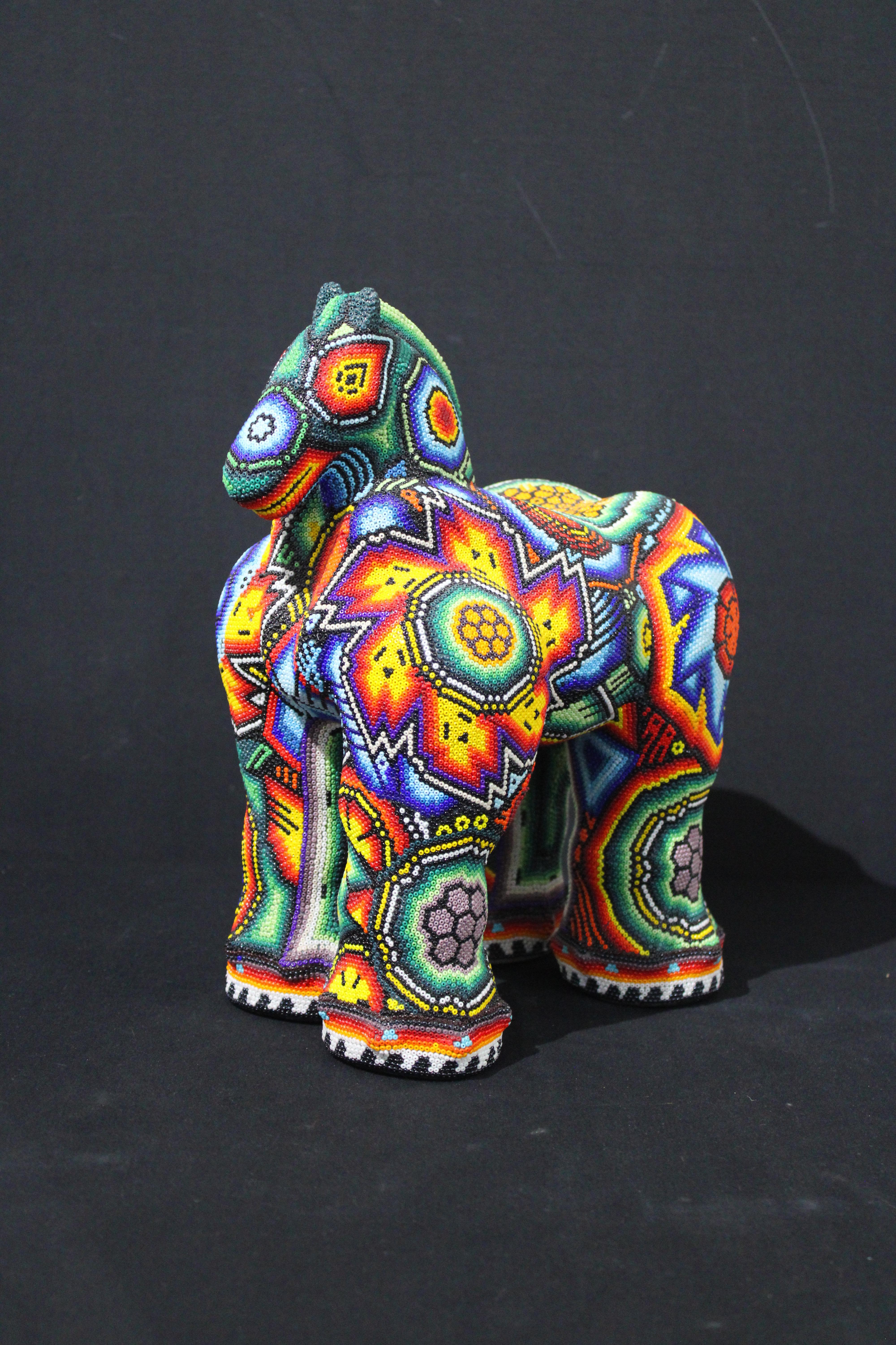Huichol 