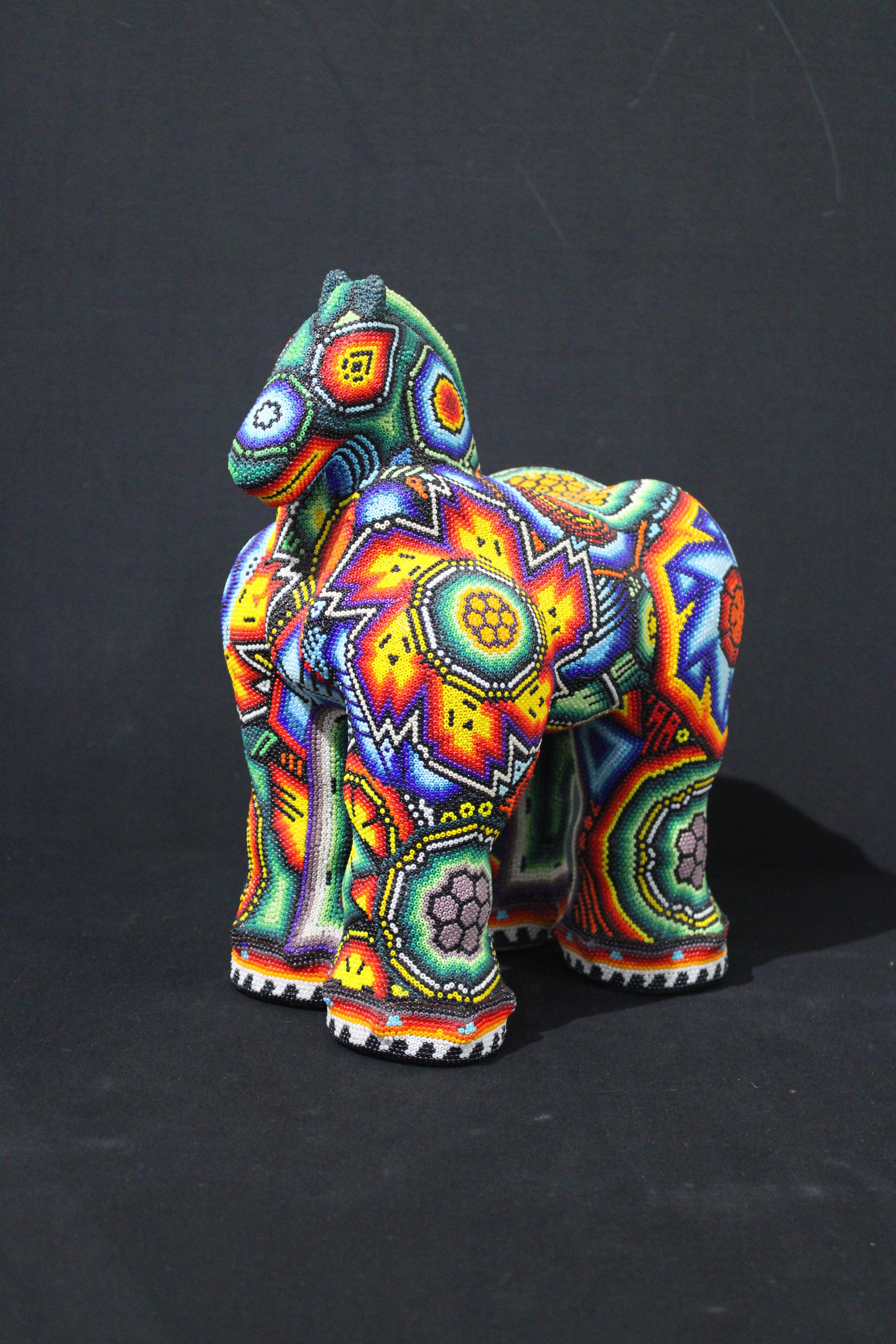 Huichol 
