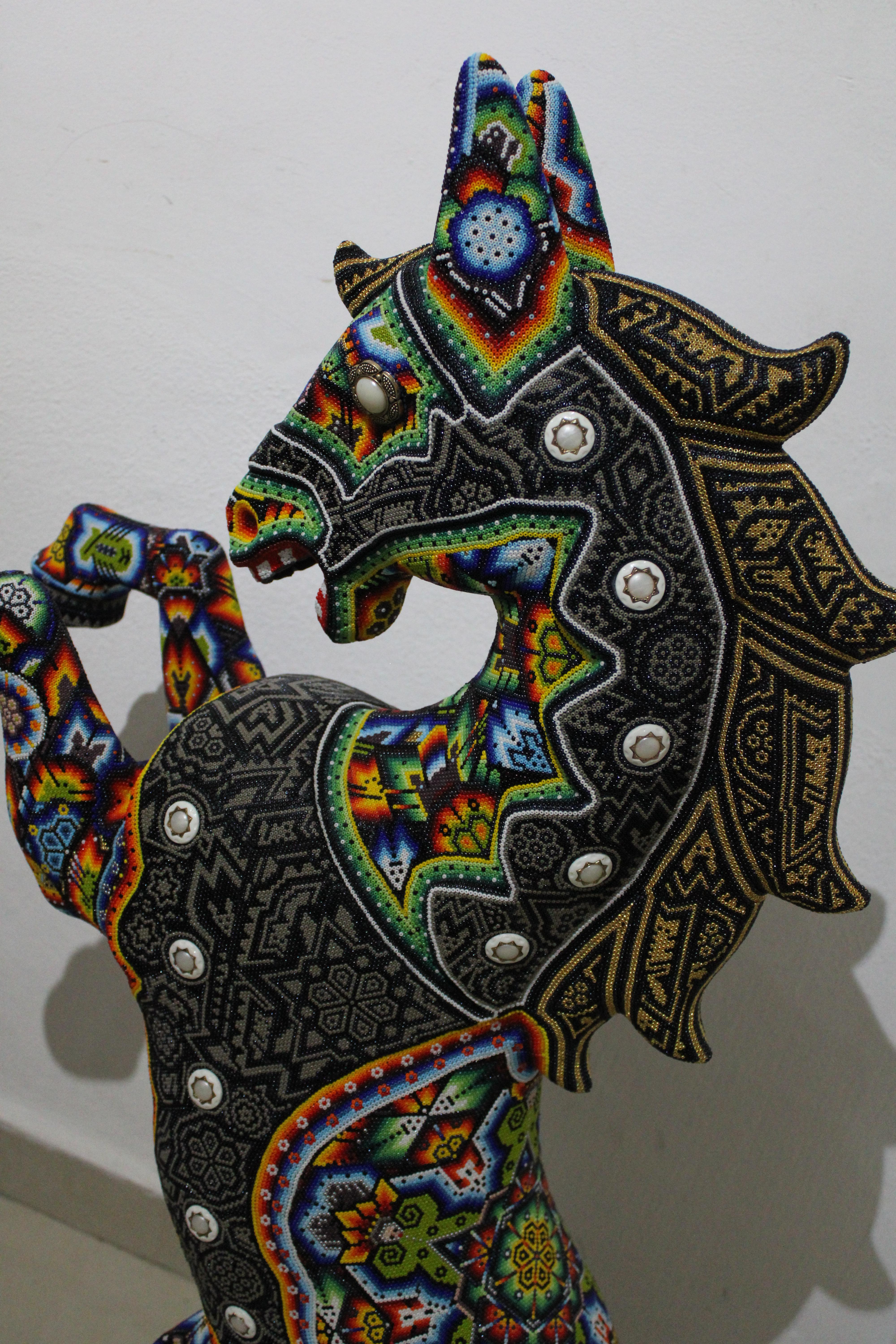 Série de manchons « WONDER HORSE » de Huichol Alterations 6