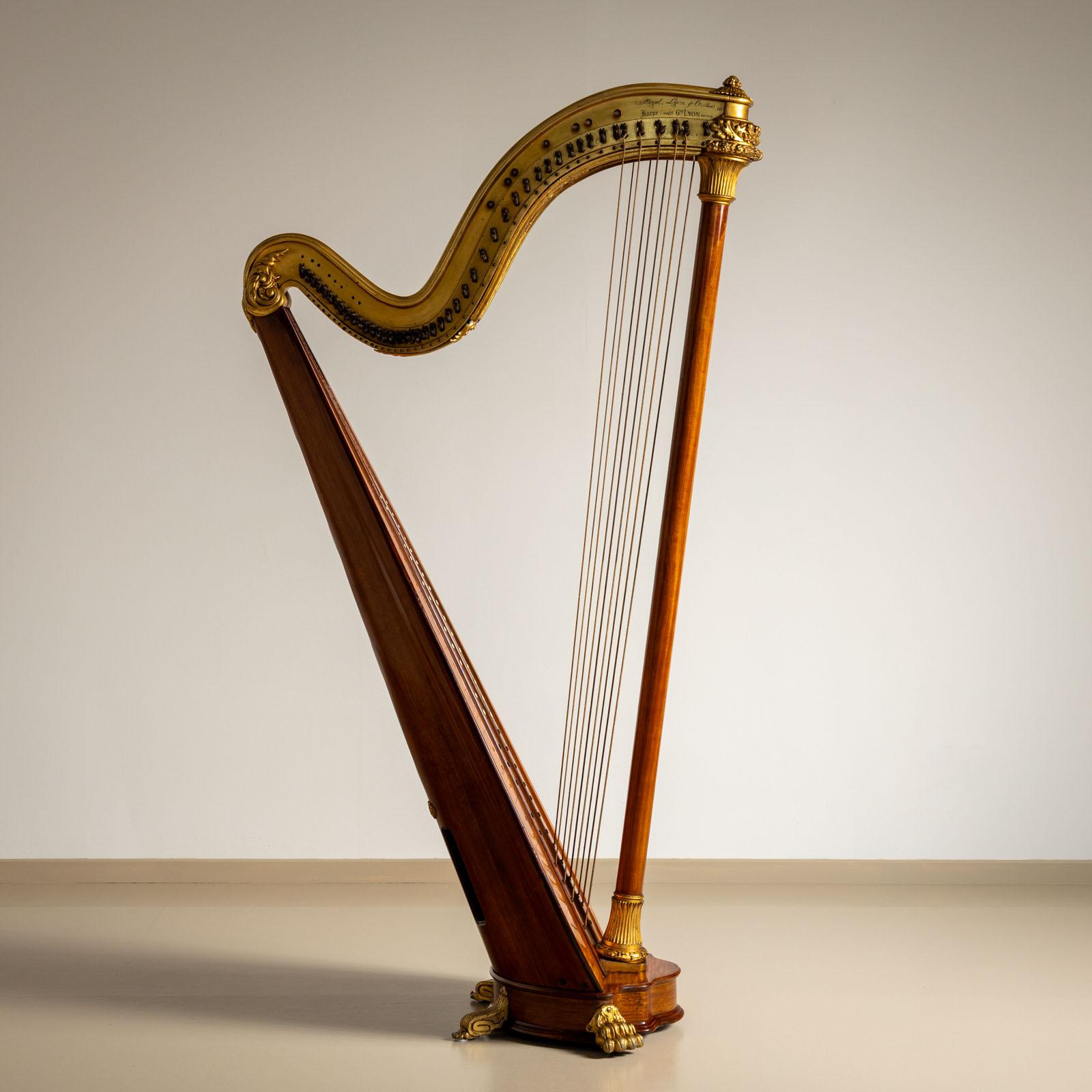 Chromatic Double Harp, Pleyel, Lyon & Cie, Paris, circa 1900 For Sale 5