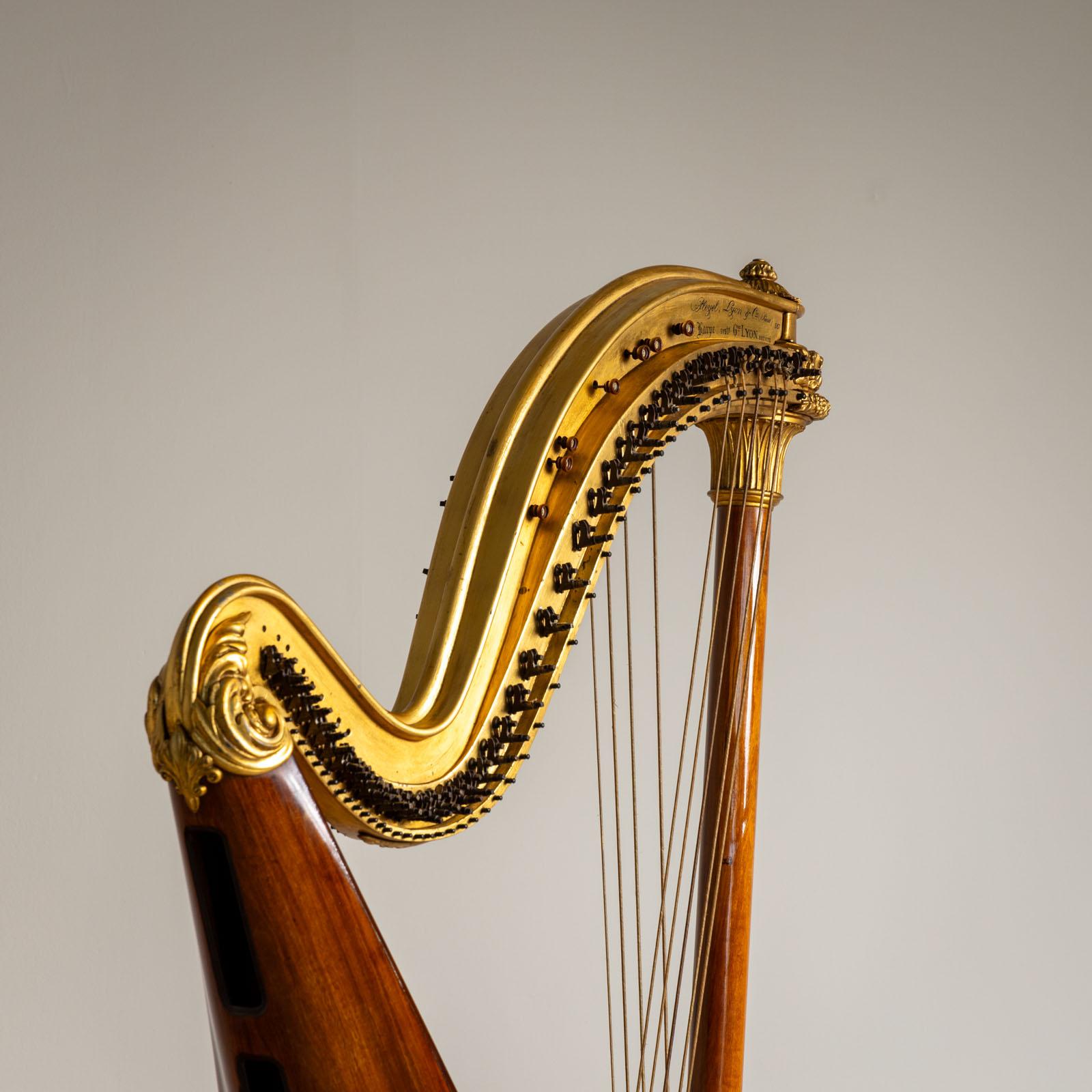 Chromatic Double Harp, Pleyel, Lyon & Cie, Paris, circa 1900 For Sale 1