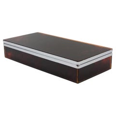 Chrome and Tortoiseshell Lucite Box, France 1970s