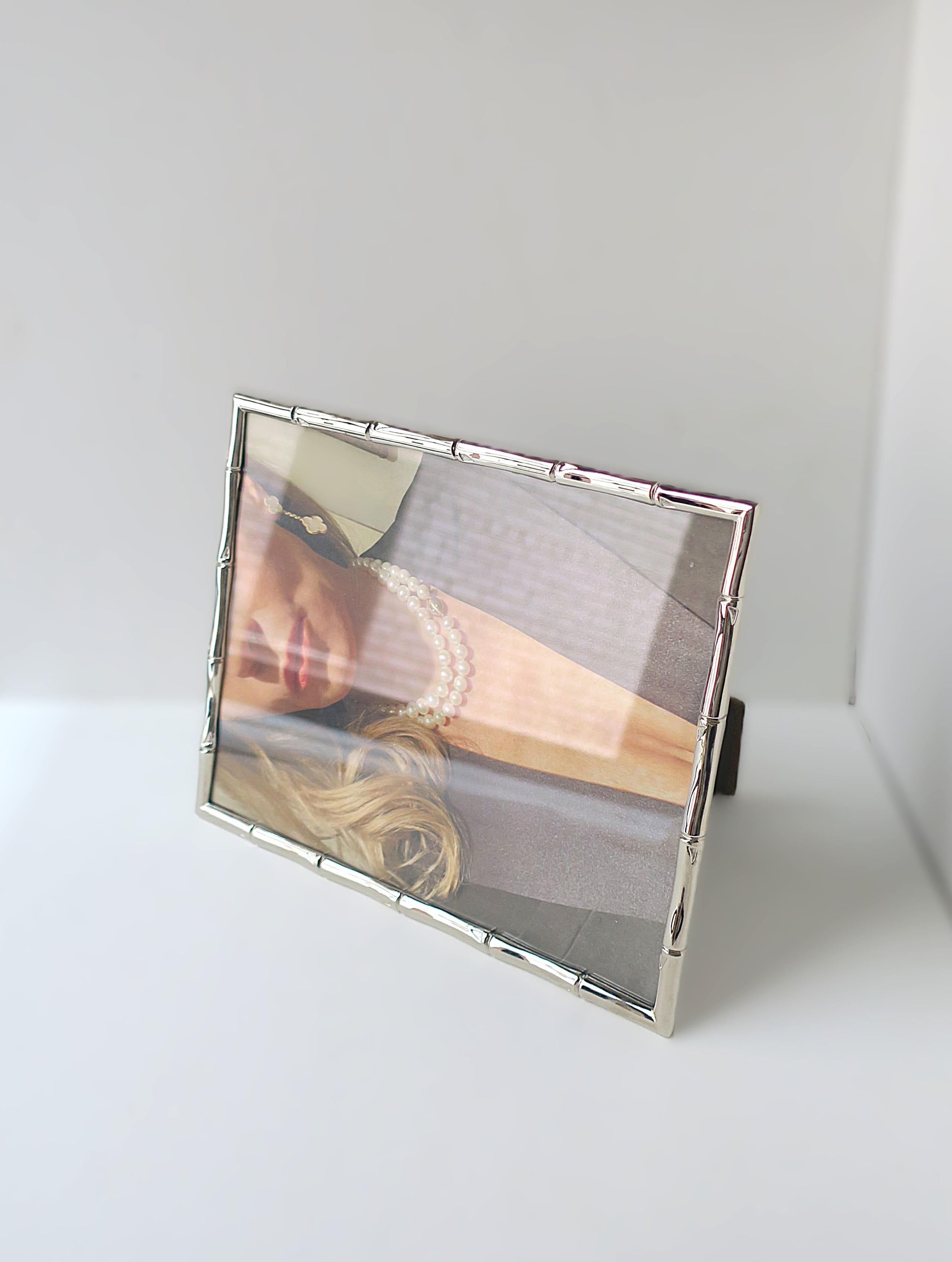 Glass Chrome Bamboo Picture Frame For Sale