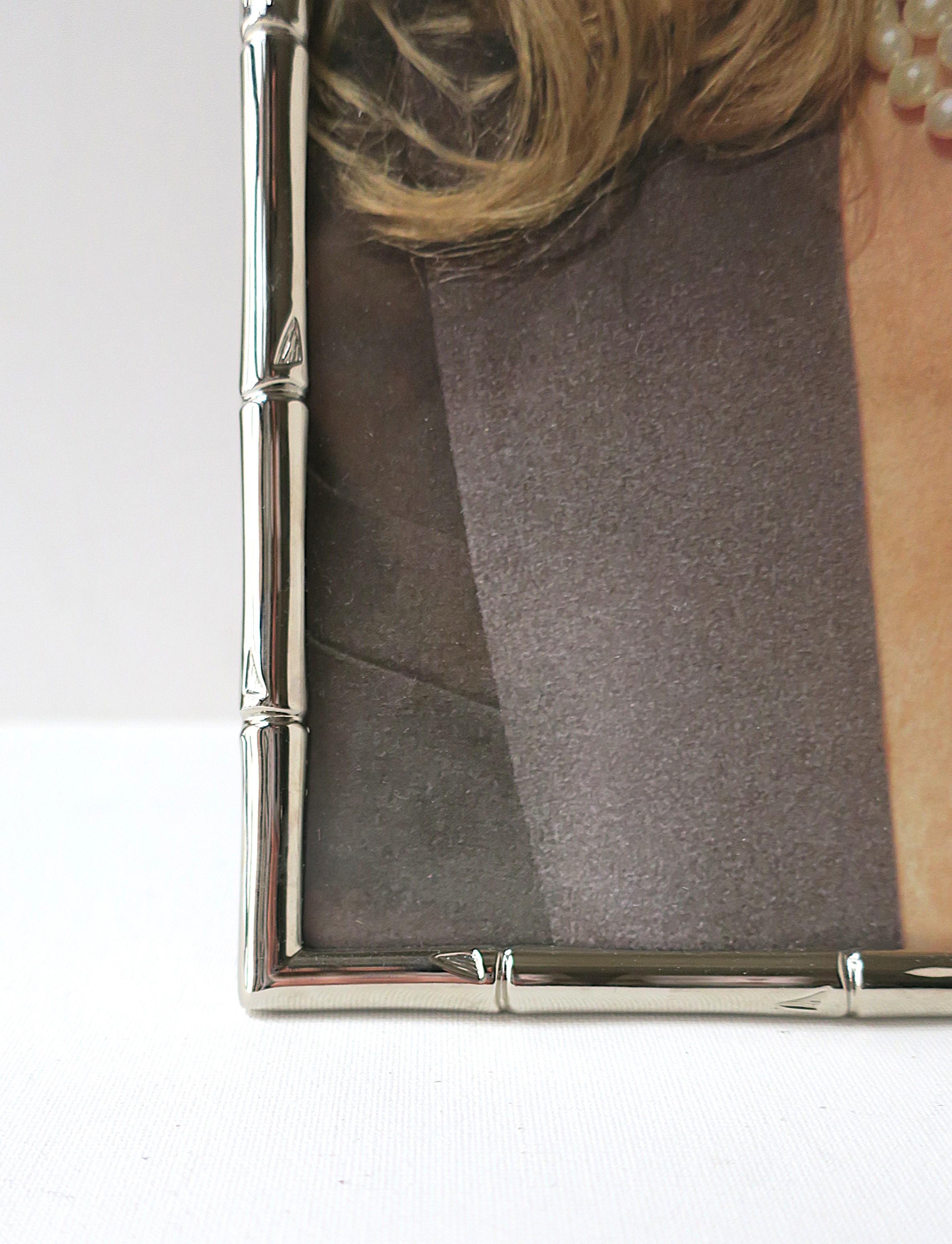 Chrome Bamboo Picture Frame For Sale 4