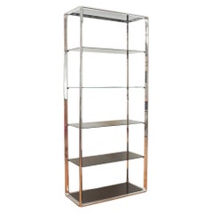 Librería cromada con estantes de cristal ahumado