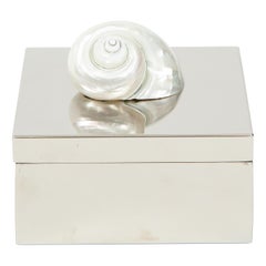 Chrome Box with White Nautilus Shell
