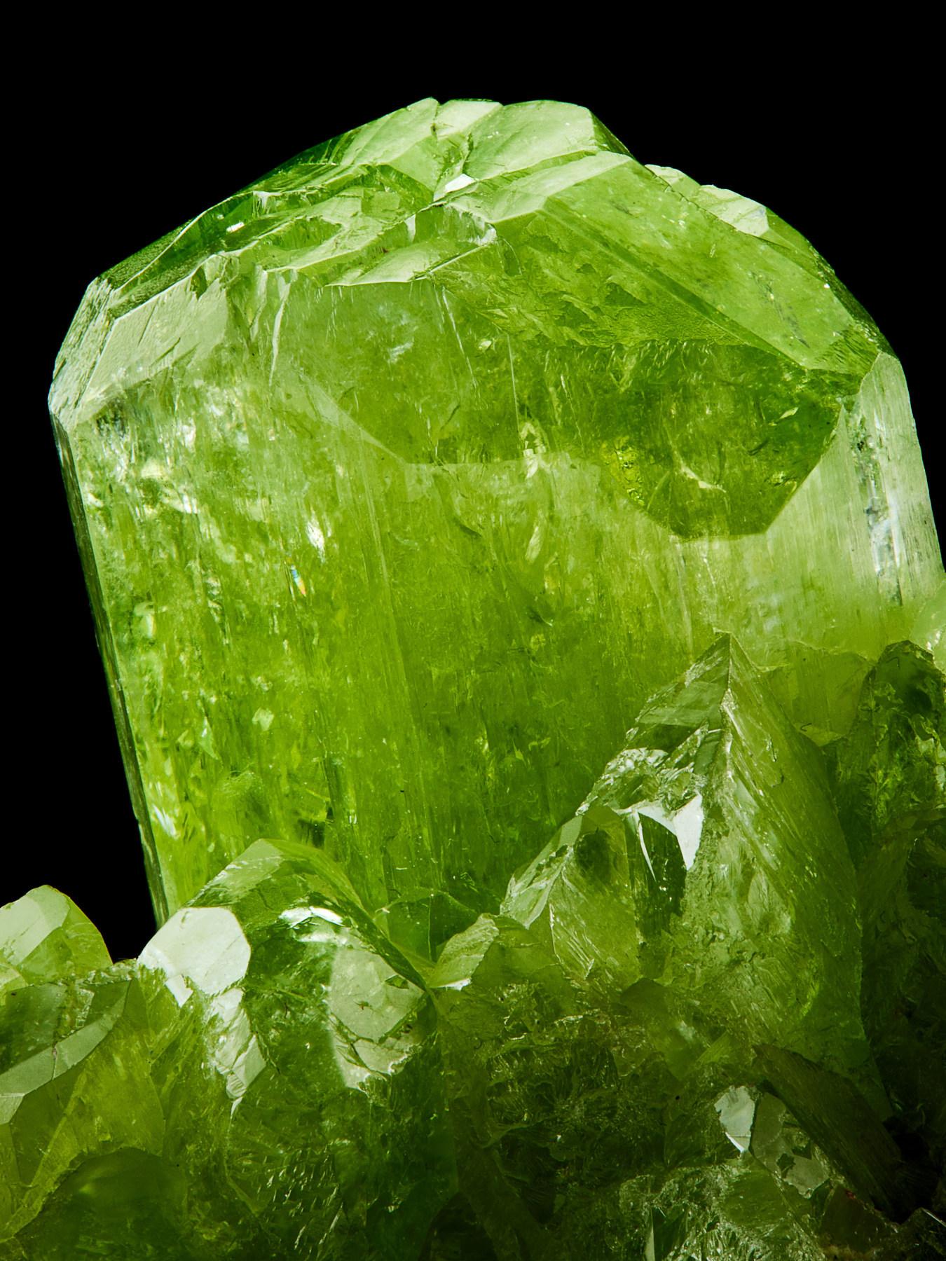 Diopside chromé
Mine de Samax, Merelani Hills, Lelatema Mtns...,
District de Simanjiro, région de Manyara, Tanzanie
6,3 cm de large x 4,5 cm de haut

En 2007, des spécimens de diopside chromé de la plus haute qualité ont été découverts en Tanzanie.