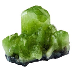 Diopside chromifère Mine Samax, Merelani Hills, Lelatema Mtns, Tanzanie
