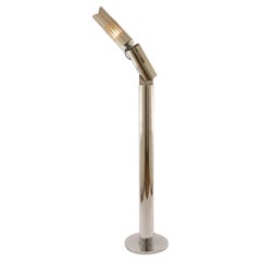Chrom-Stehlampe, Modell Cobra, von Gabriele D'Ali für Francesconi, 1970er Jahre