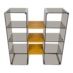 Retro Chrome, Smoked Glass and Wood Bookshelf Étagère Gallotti & Radice, Italy, 1970s