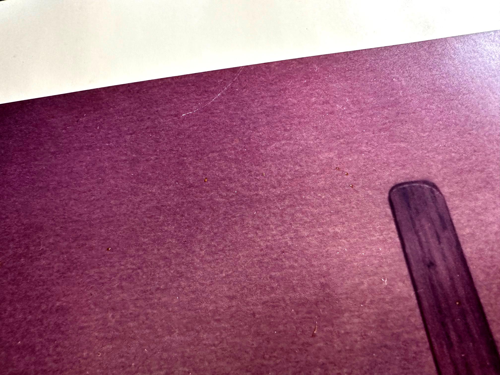 Chromogene Fotografie von Ralph Gibson, signiert und datiert im Angebot 2