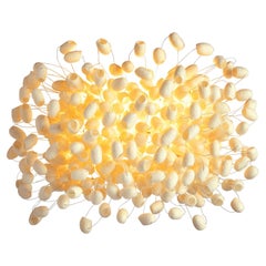 Chrysalis Wall by Ango - Handcrafted Silk Cocoon Wall Light