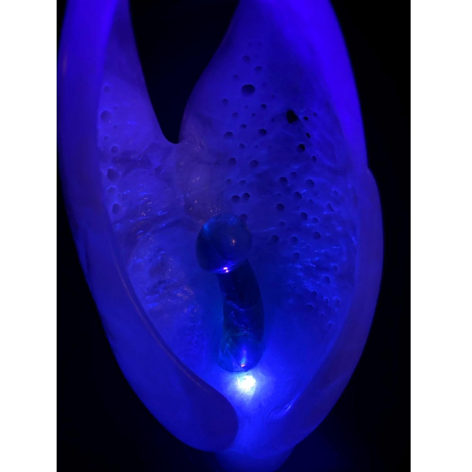 Sculpture métaphysique en ébène d'albâtre blanc et d'ébène éclairée par UV Chrysalis en vente 6