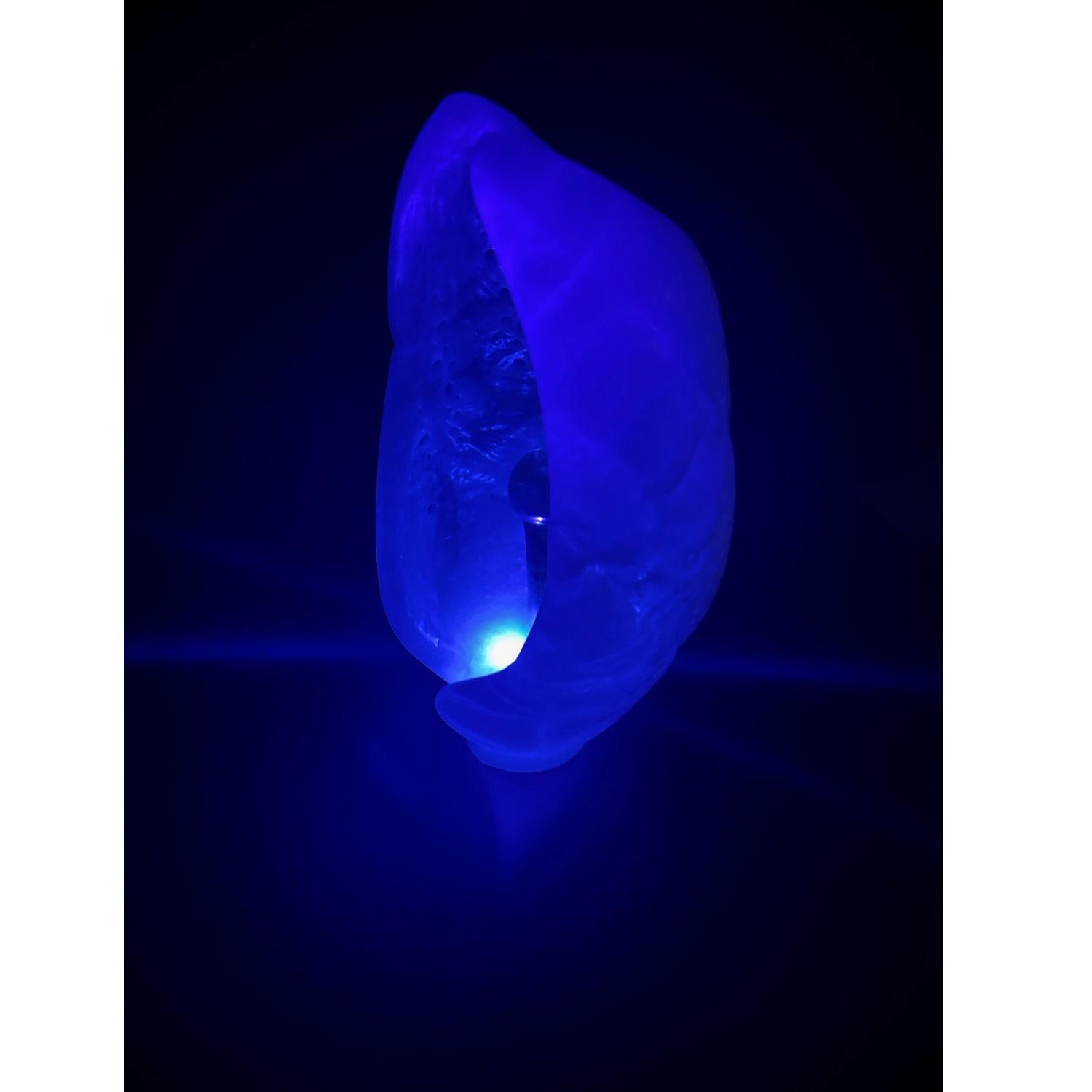 Chrysalis White Alabaster Ebony Soapstone UV Lighted Metaphysical Sculpture For Sale 7