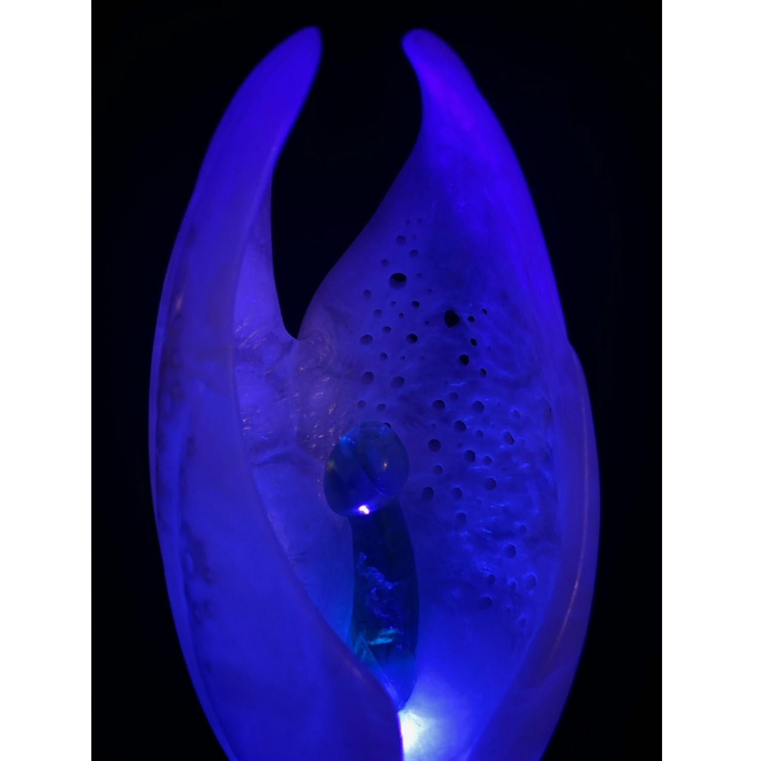 Chrysalis White Alabaster Ebony Soapstone UV Lighted Metaphysical Sculpture For Sale 9
