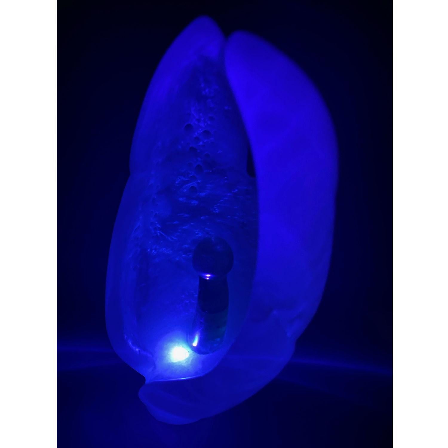 Sculpture métaphysique en ébène d'albâtre blanc et d'ébène éclairée par UV Chrysalis en vente 11