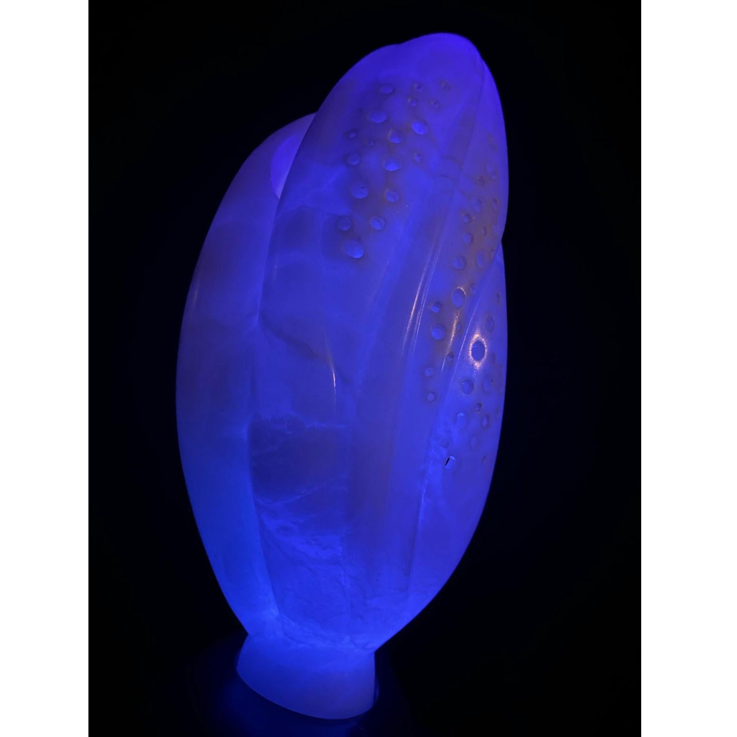 Chrysalis White Alabaster Ebony Soapstone UV Lighted Metaphysical Sculpture For Sale 13