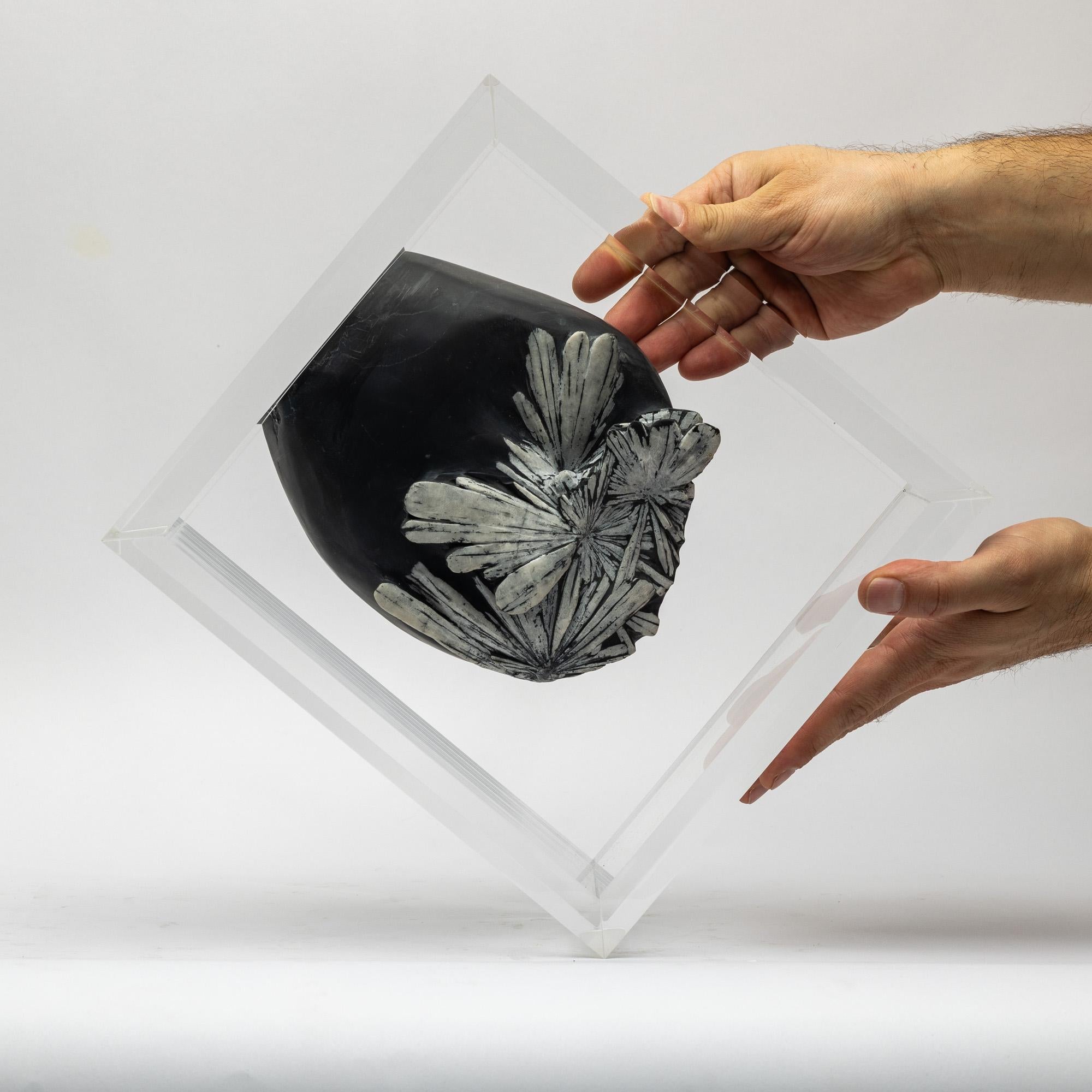 Messicano Pietra di crisantemo montata in una base acrilica dal design originale in vendita