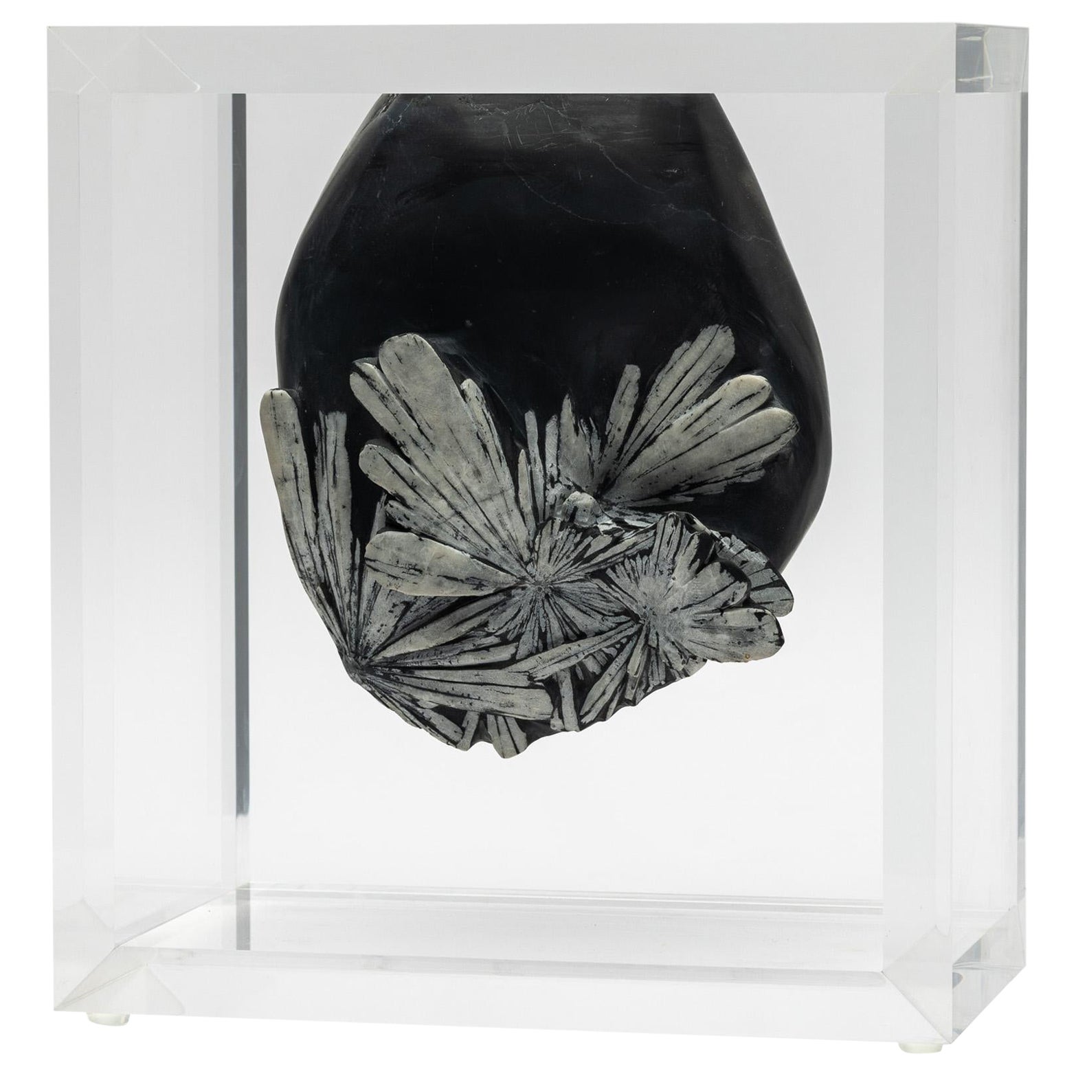 Chrysantemum-Stein in originalem Acrylsockel montiert