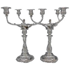 Chrysanthemum by Tiffany & Co Sterling Silver Candelabra Pair of 3-Light