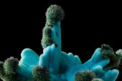 Crisocolla su azurite con malachite, ricoperta da quarzo druso