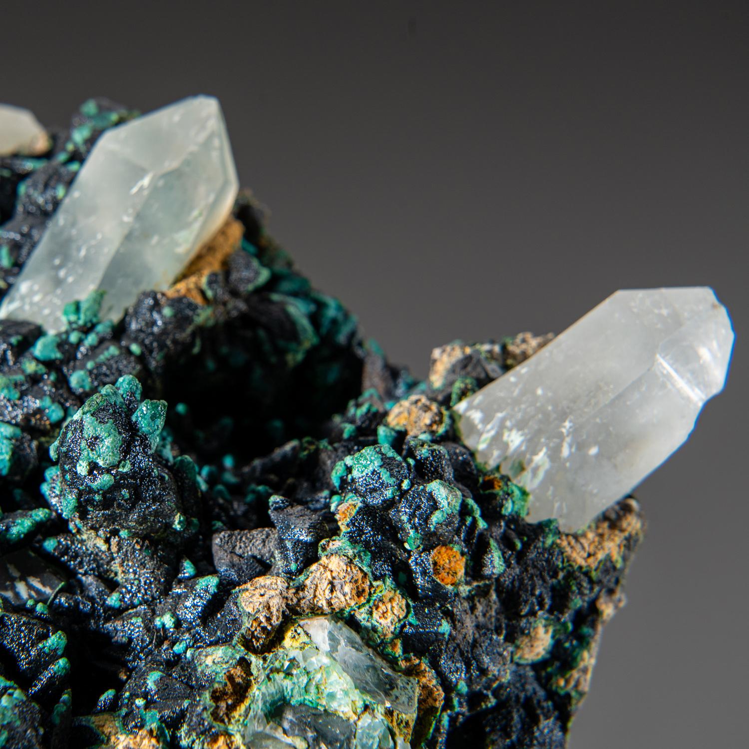 From Ray Mine, Mineral Creek District, Pinal County, Arizona

Bright blue micro crystal coating of chrysocolla over quartz crystal Custer matrix. The contrast of the chrysocolla against the matrix is very attractive.

Weight: 8.1 lbs,  Dimensions: 6