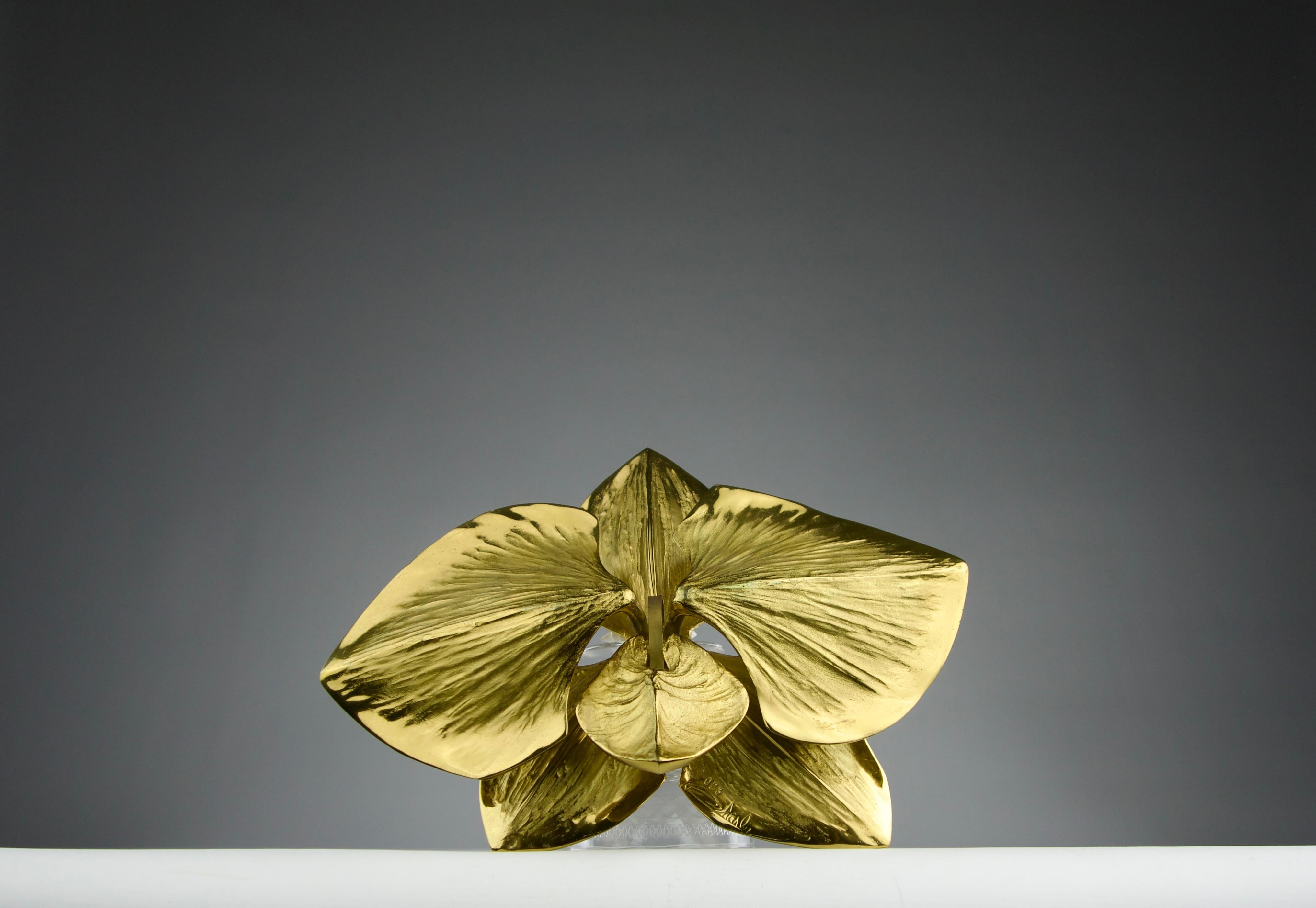 Chrystiane Charles for Maison Charles, Pair of Orchid Wall Lights, France 1980s In Good Condition For Sale In PARIS, FR