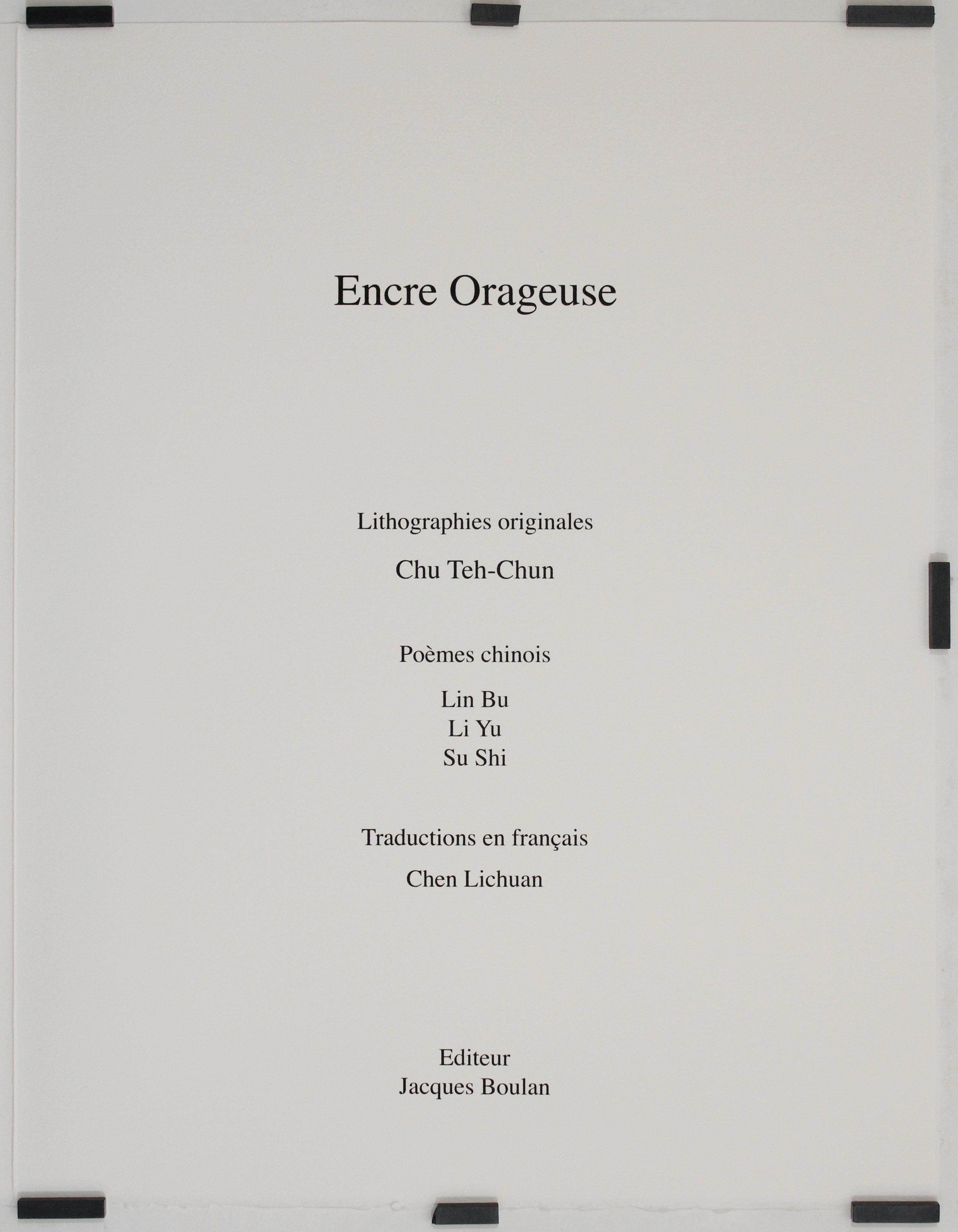 Libro illustrato originale del 2008 intitolato 