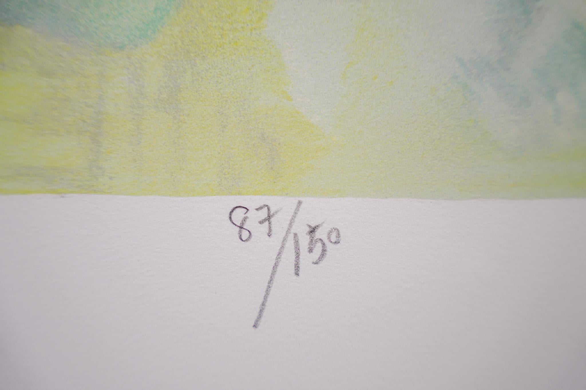 Heimat der Wärme 87/150,  Signierte Lithographie im Angebot 1