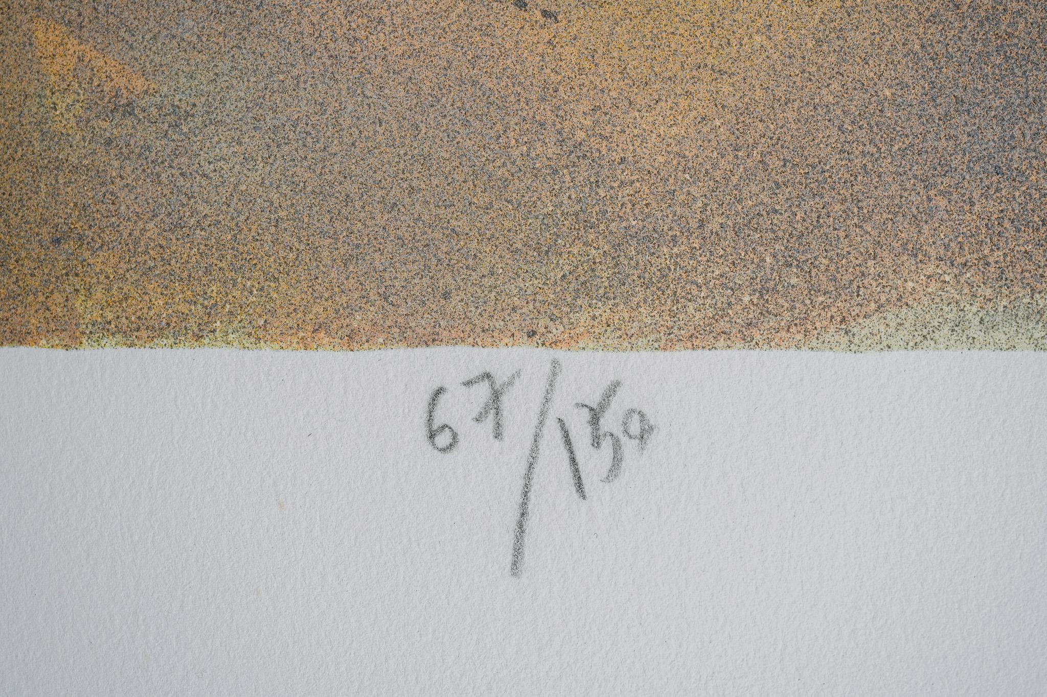 Lebendige Freiheit 67/150, Signierte Lithographie im Angebot 1